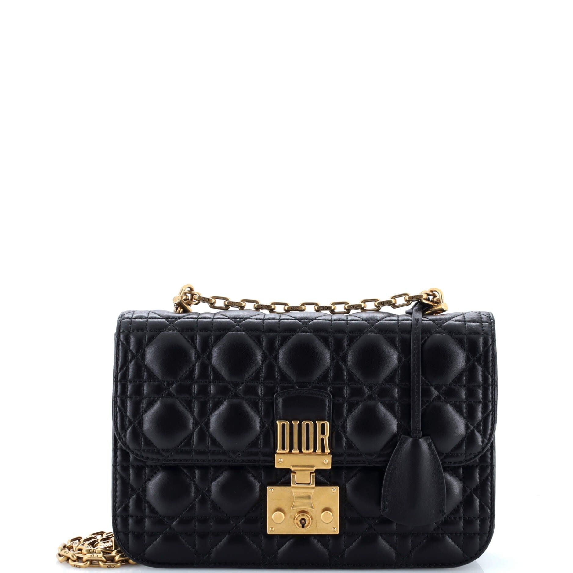 Dior Dioraddict Flap Bag Size ONE SIZE - 1 Thumbnail