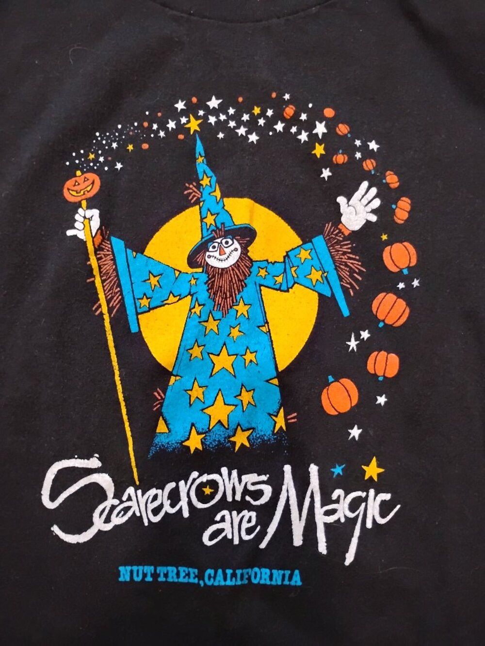 Anvil Vintage 80s Scarecrows Are Magic Contest Halloween T-Shirt Size US XL / EU 56 / 4 - 1 Thumbnail