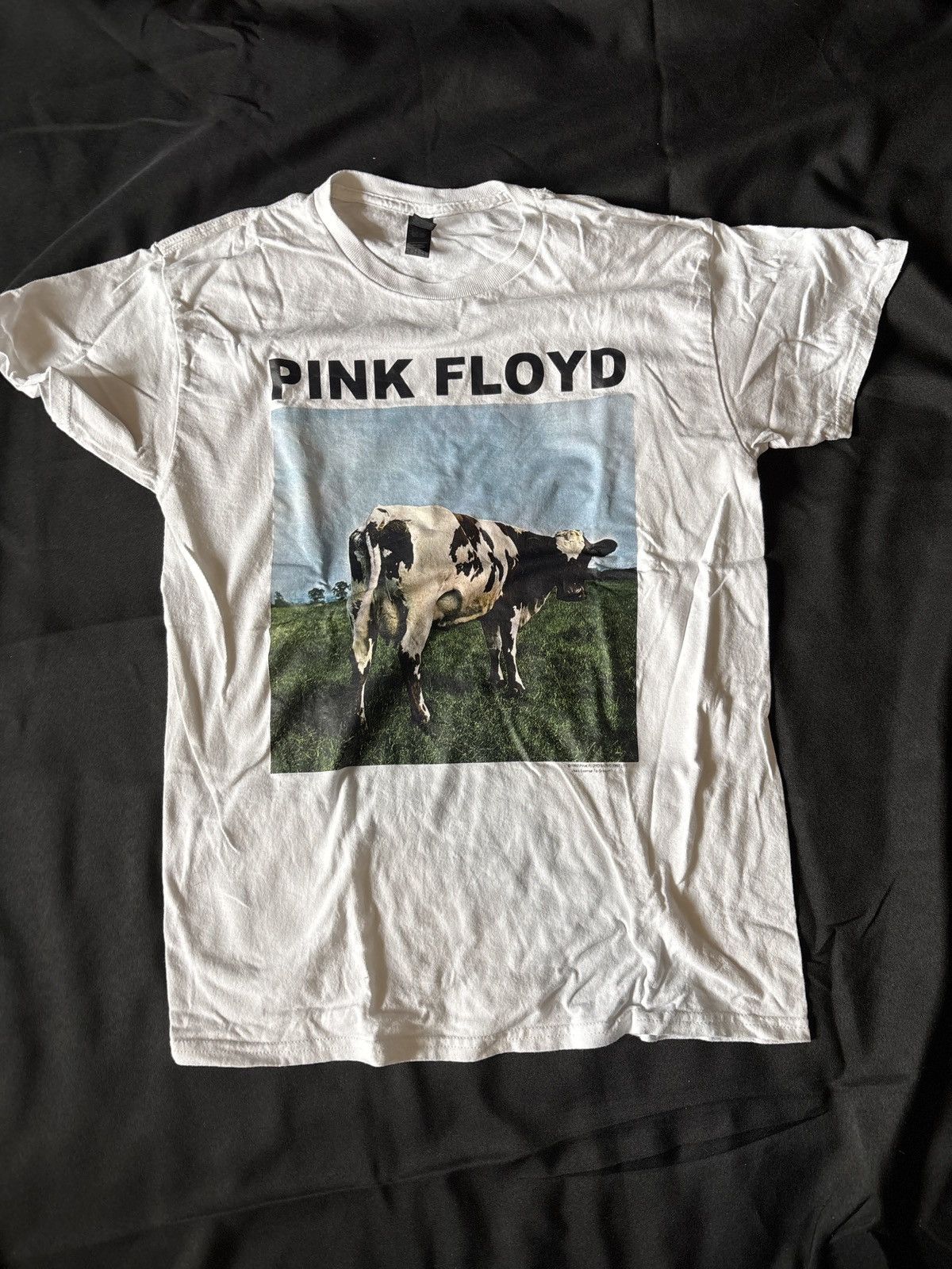 Vintage Vintage Pink Floyd Atom Hearts Earth T Size US M / EU 48-50 / 2 - 1 Thumbnail