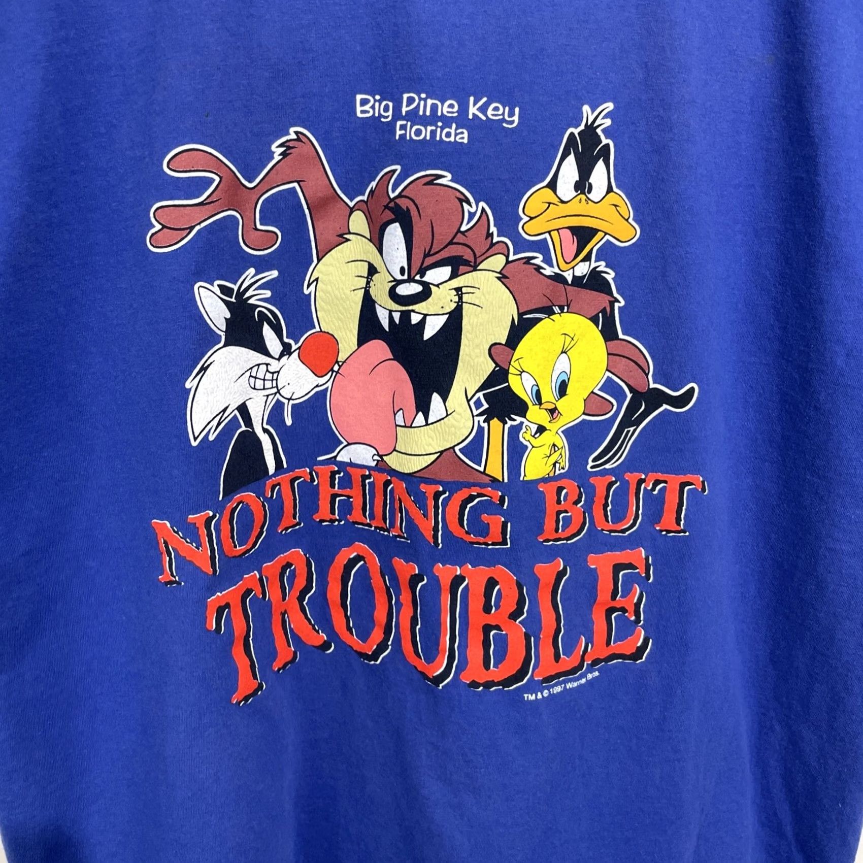 Vintage VINTAGE Looney Tunes T-Shirt Men XL Blue 90s Bugs Bunny Tweety Daffy Shirt Crew Neck Short Sleeve Cartoon Graphic Print Scene Florida LL Size US XL / EU 56 / 4 - 6 Thumbnail