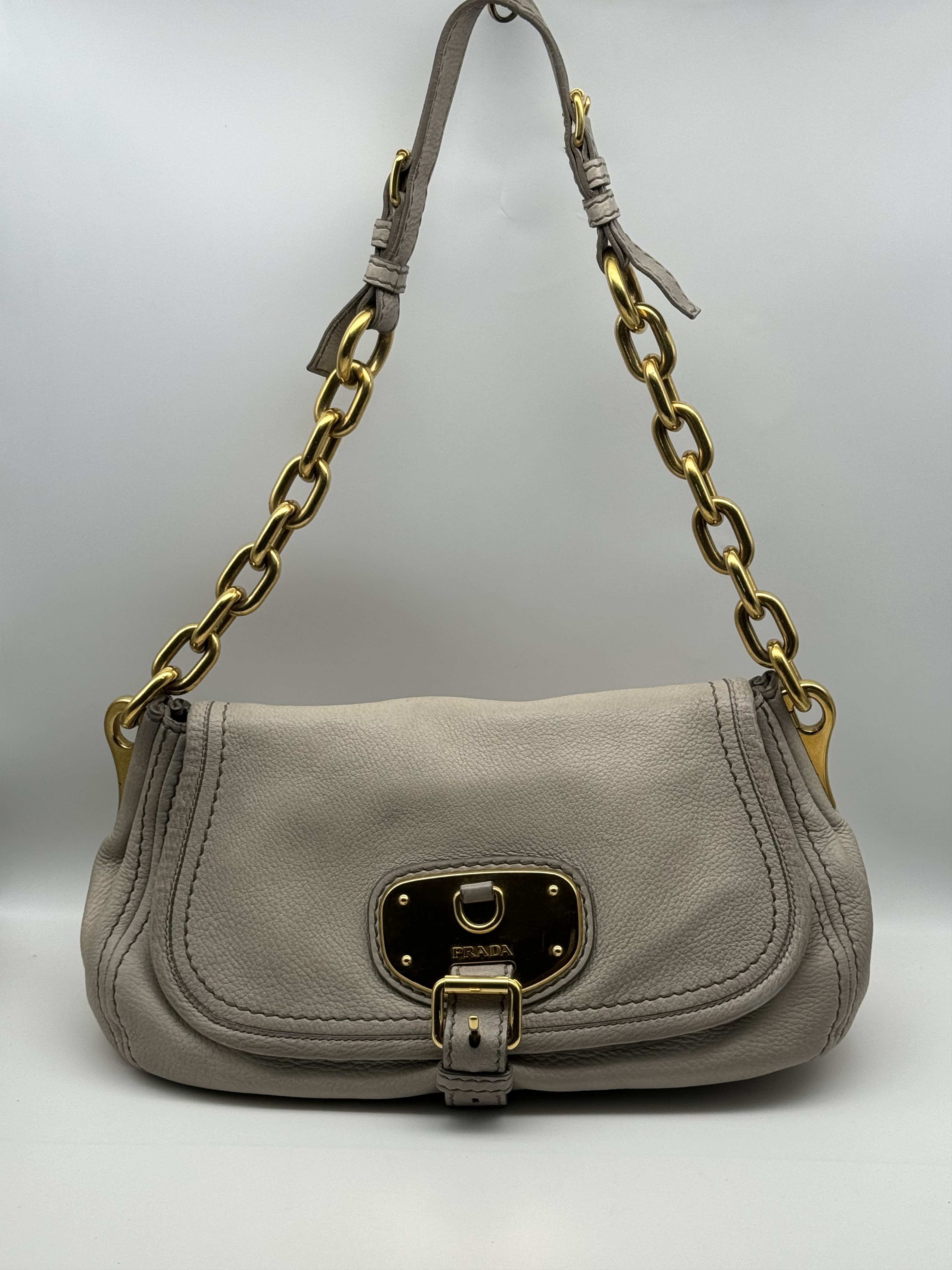 Prada Authentic Prada Cervo Ghiaccio Leather Shoulder Bag Size ONE SIZE - 1 Thumbnail