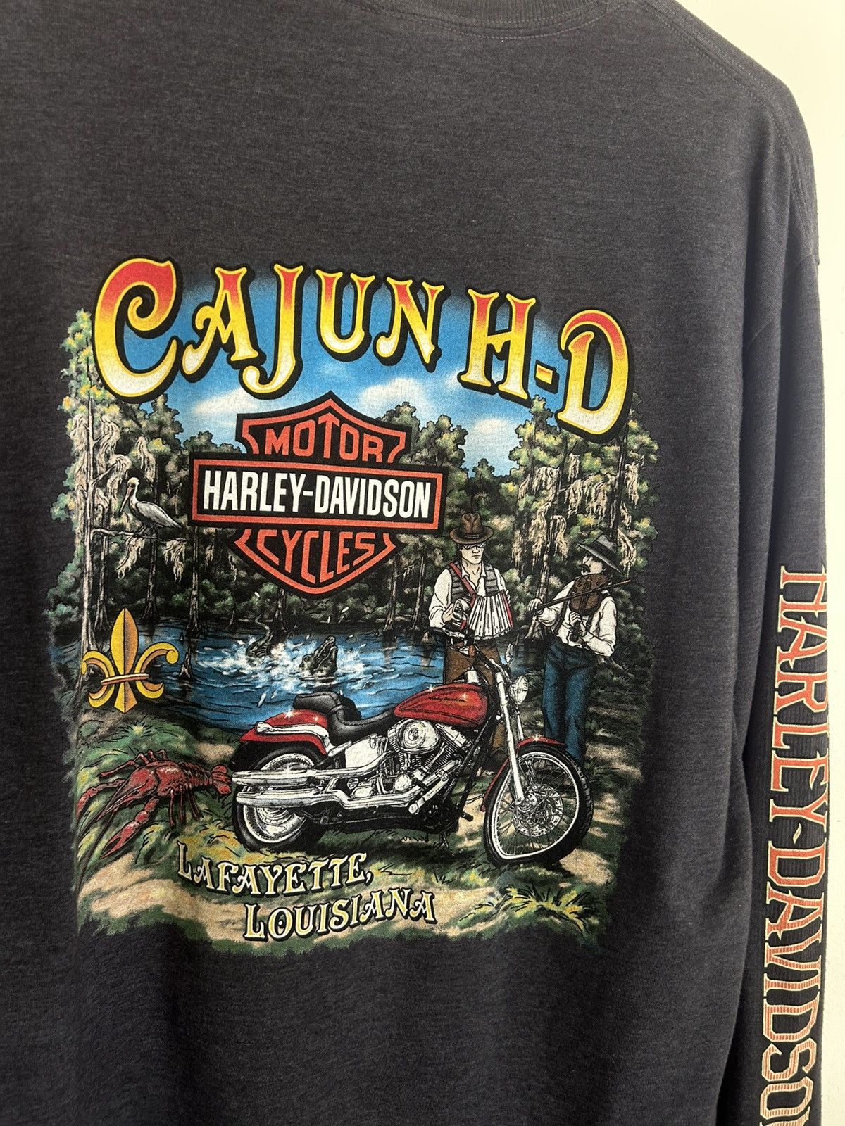 Harley Davidson Harley Davidson Bad Attitude Cajun Louisiana Longsleeve Size US L / EU 52-54 / 3 - 6 Thumbnail