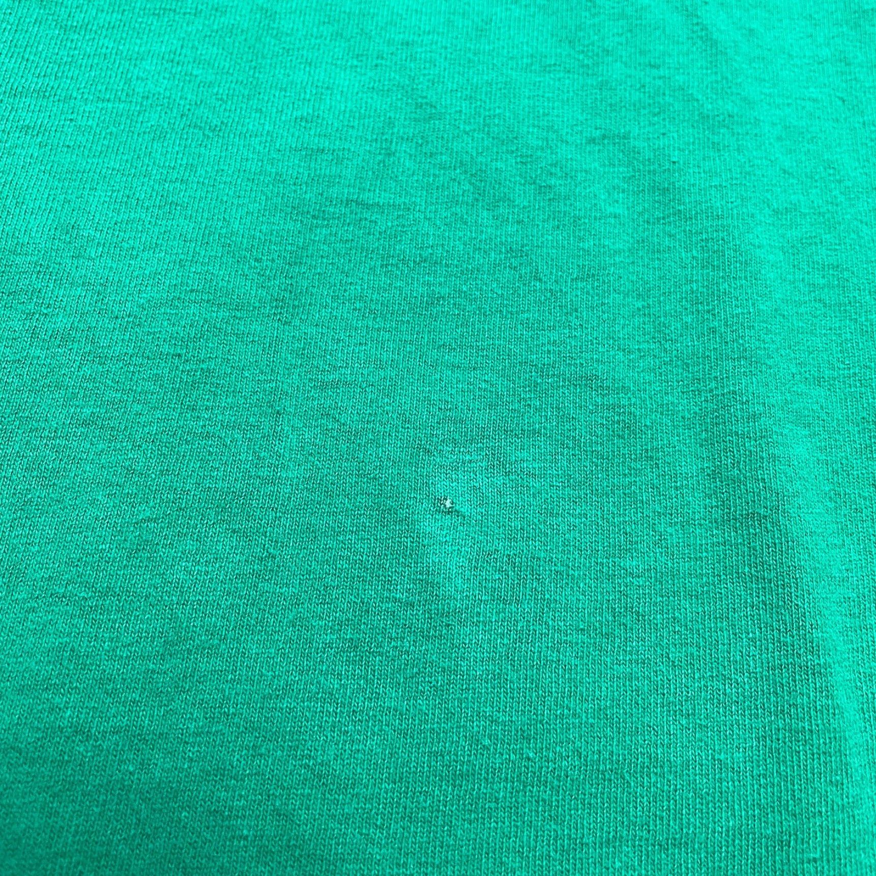 Hanes Hanes Tagless Shirt Adult 2XL Green Cotton Crew Mens Short Sleeve Chase Logo Size US XXL / EU 58 / 5 - 2 Thumbnail