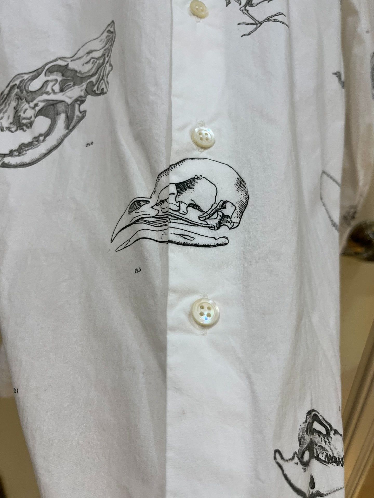 Alexander McQueen Alexander McQueen Fossil Print White Shirt Size US M / EU 48-50 / 2 - 2 Thumbnail