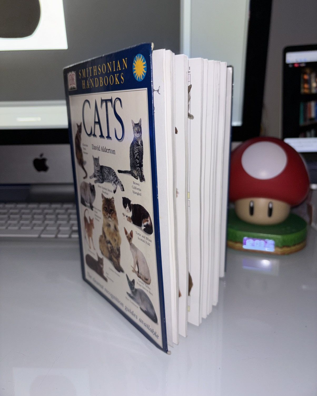 Other × Vintage SMITHSONIAN HANDBOOK OF CATS DK Publishing Illustrated Cats Size ONE SIZE - 2 Thumbnail