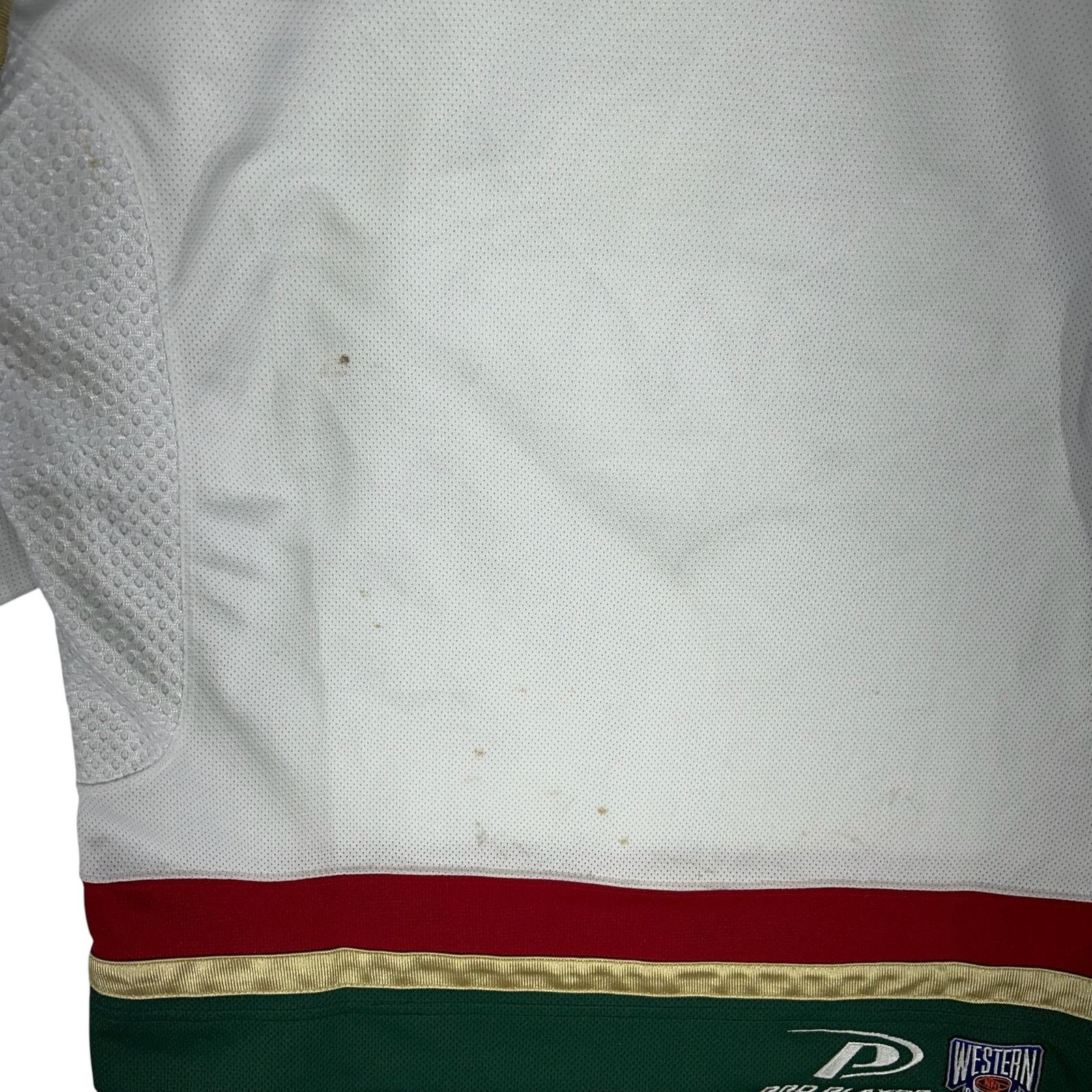 Pro Player Vintage Pro Player Minnesota Wild Hockey Jersey Size US M / EU 48-50 / 2 - 8 Thumbnail
