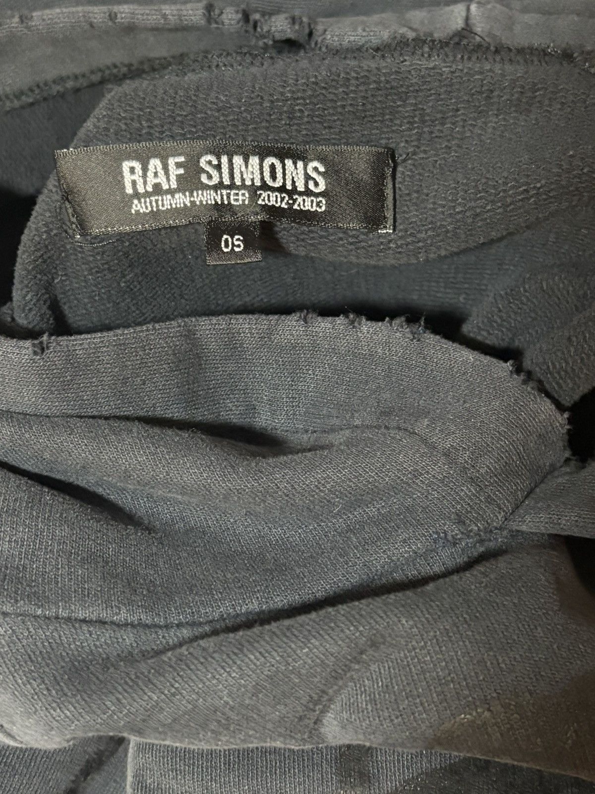 Raf Simons Raf simons aw2002 virginia creeper os roots hoodie Size US XL / EU 56 / 4 - 3 Thumbnail