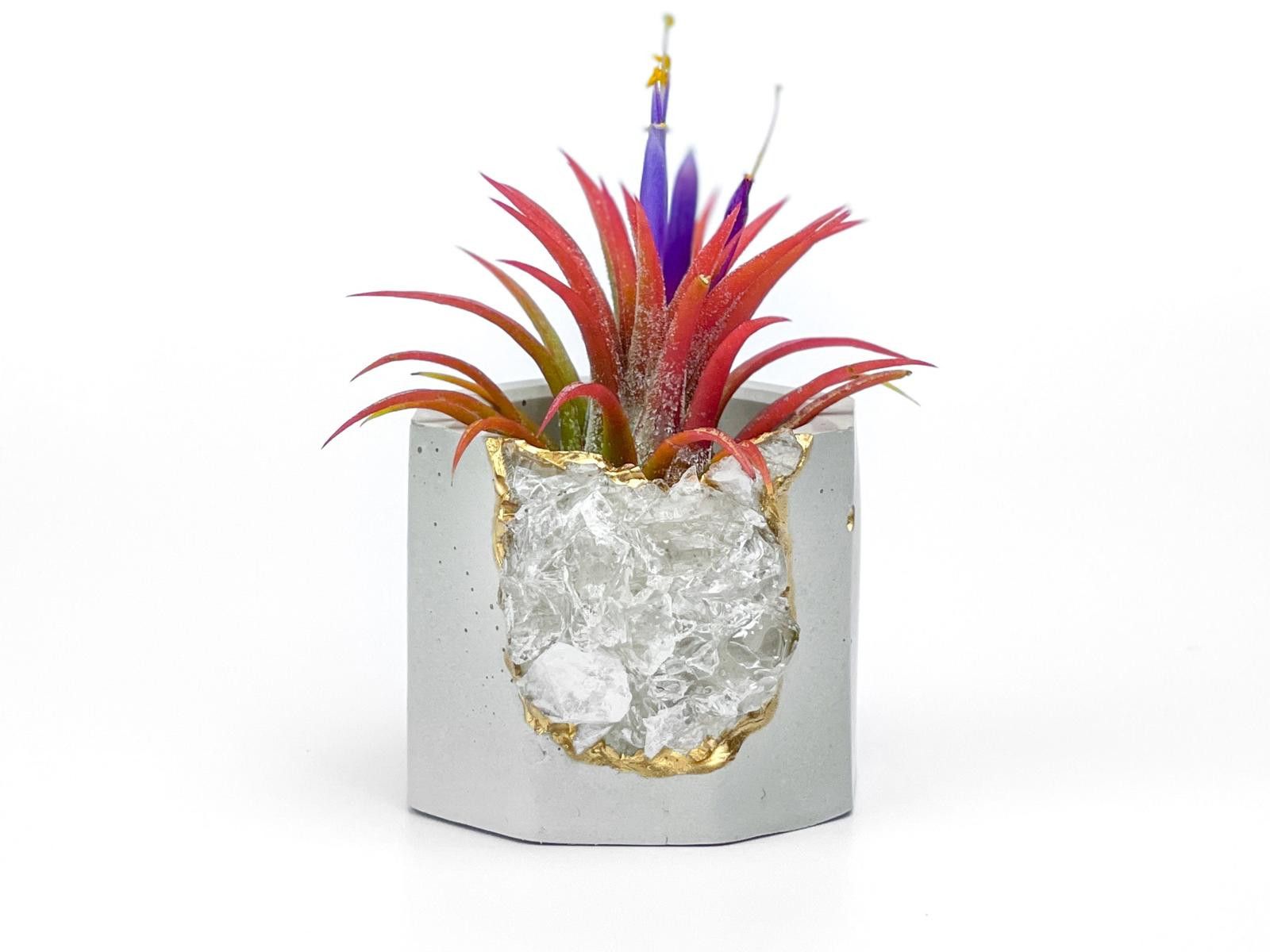 Other Raw Clear Quartz Crystal Planter Air Plant Holder Display Size ONE SIZE - 6 Thumbnail