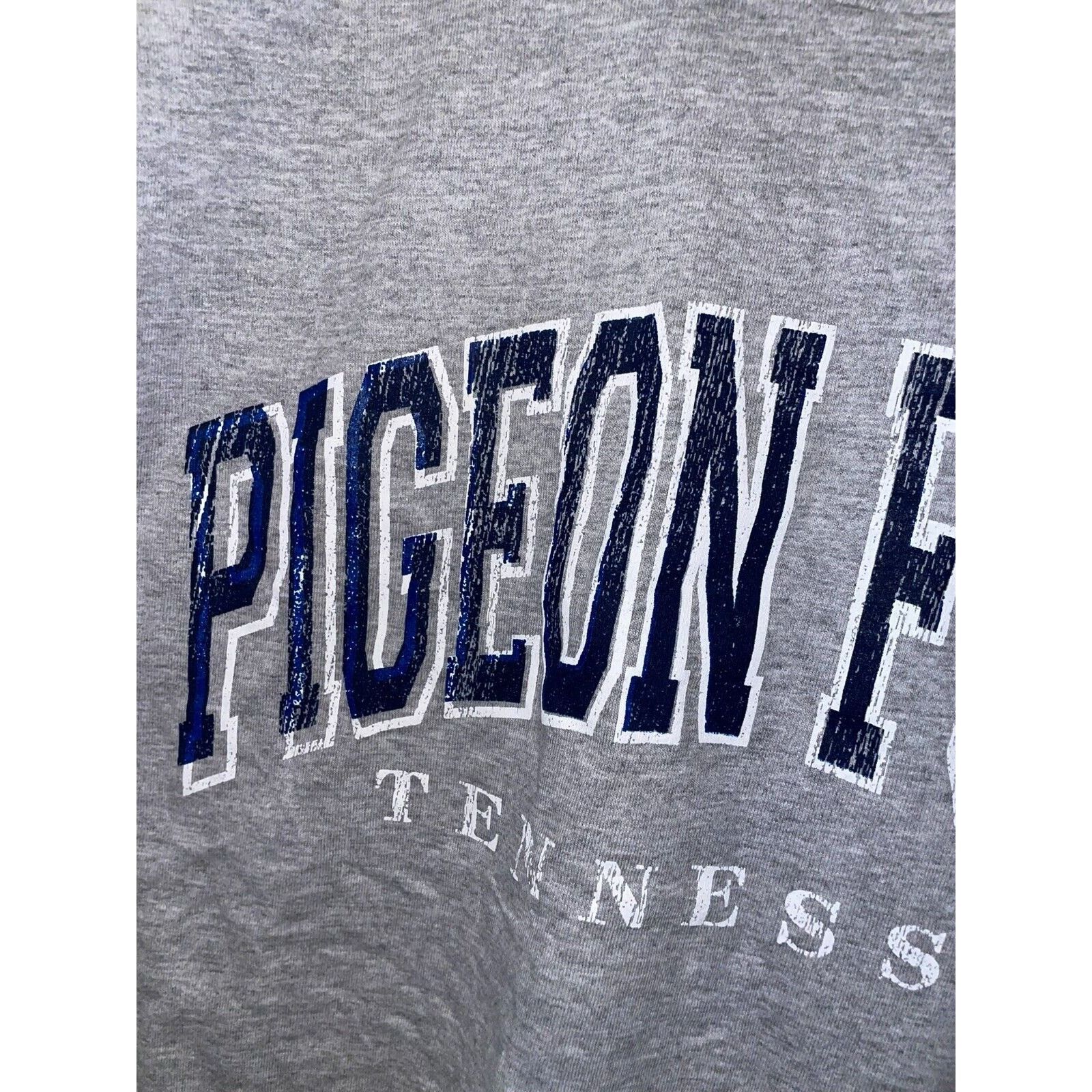 Jerzees Vintage Pigeon Forge Shirt TN Tennessee Gray Tee VTG 90s L Size US L / EU 52-54 / 3 - 3 Thumbnail