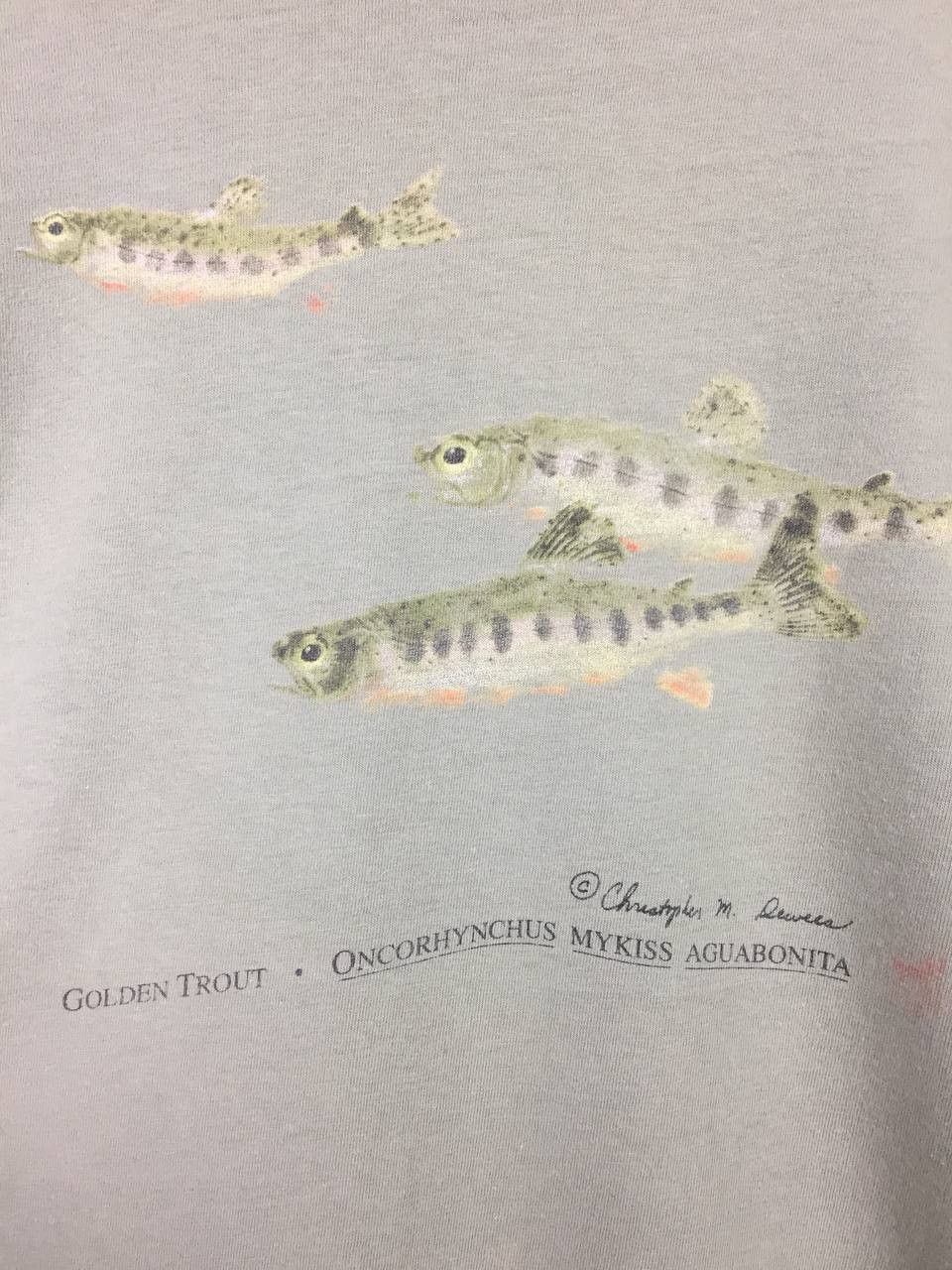 Habitat × Vintage Vtg Y2K Golden Trout California Trout Native Species Tee Size US XL / EU 56 / 4 - 4 Thumbnail