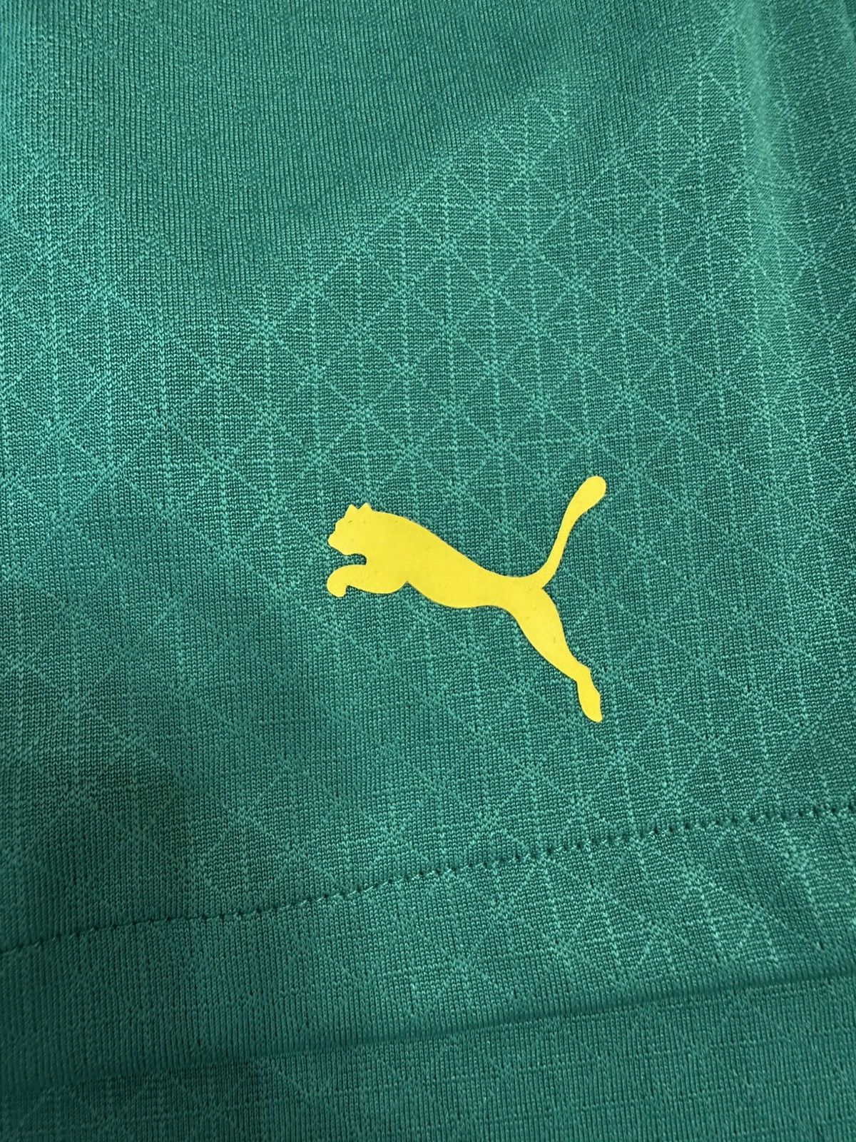 Puma Puma Senegal National Soccer Team Men's Jersey Size XXL Size US XXL / EU 58 / 5 - 11 Thumbnail