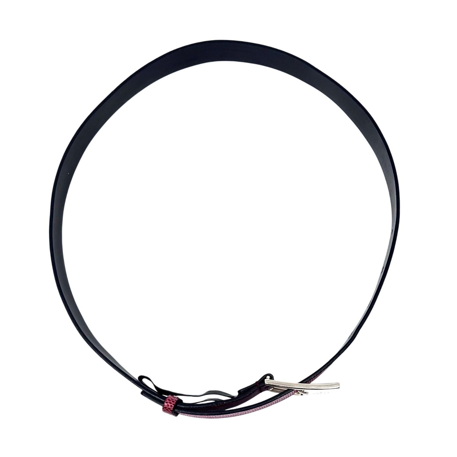 Gucci Gucci Red Lizard Skin Belt Size ONE SIZE - 4 Thumbnail