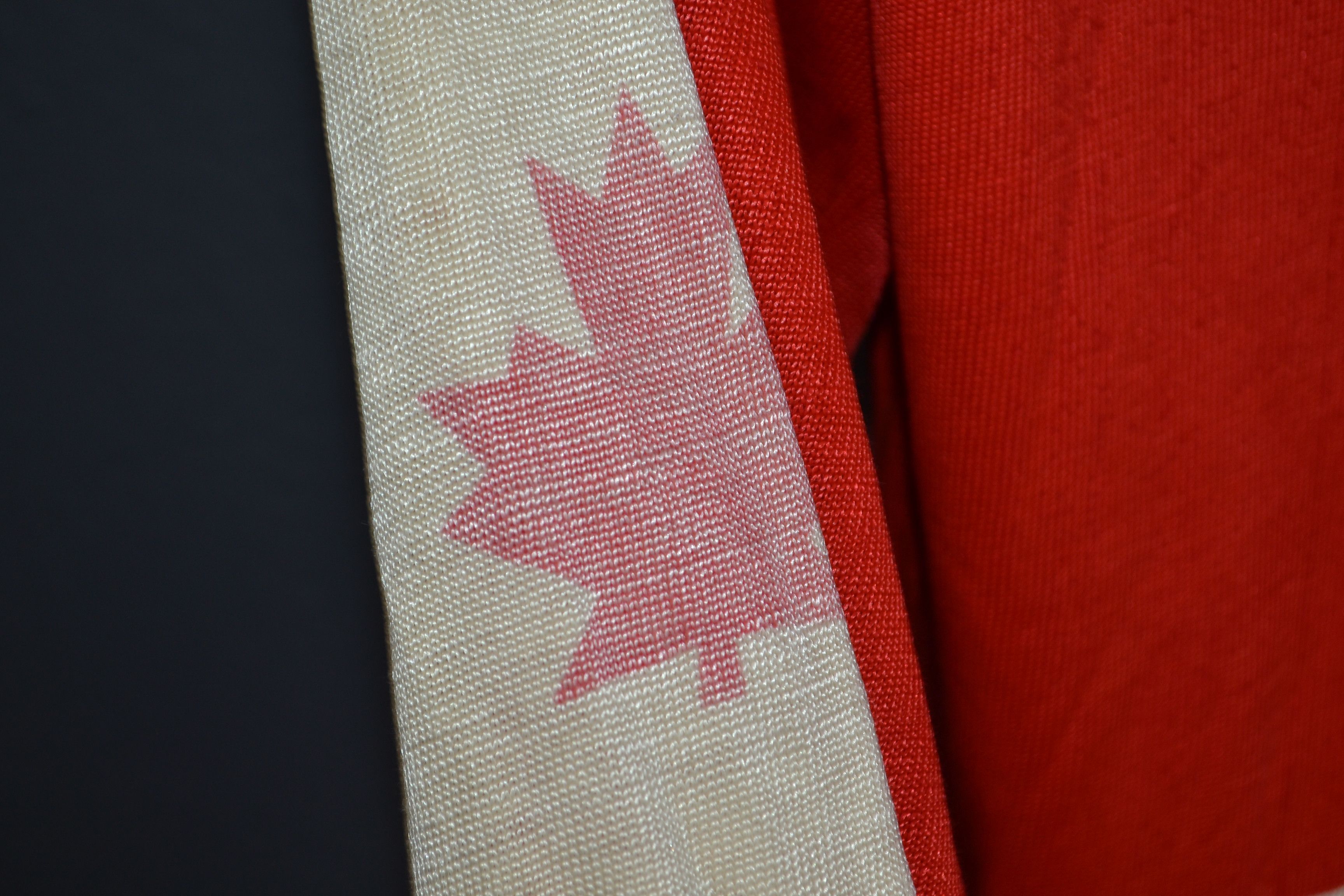 Vintage 1974 WHA Team Canada International Hockey Jersey Vintage Size US XS / EU 42 / 0 - 5 Thumbnail