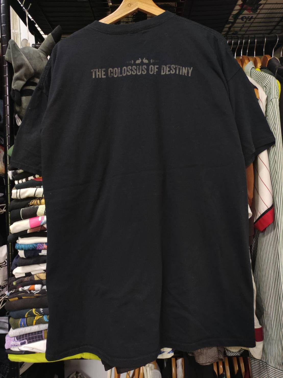 Band Tees Rare! The Colossus of Destiny : A Melvins Tale Band T-Shirt Size US XXL / EU 58 / 5 - 2 Thumbnail
