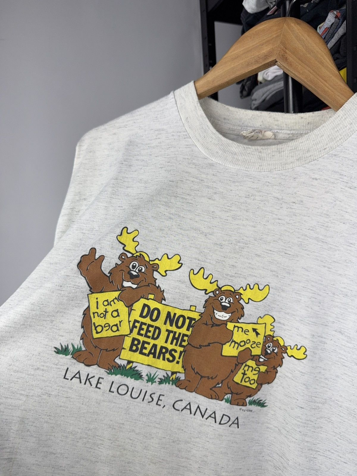The Mountain Vintage 90s Retro Humour Print Lake Louise CANADA Tee Shirt Size US L / EU 52-54 / 3 - 4 Thumbnail