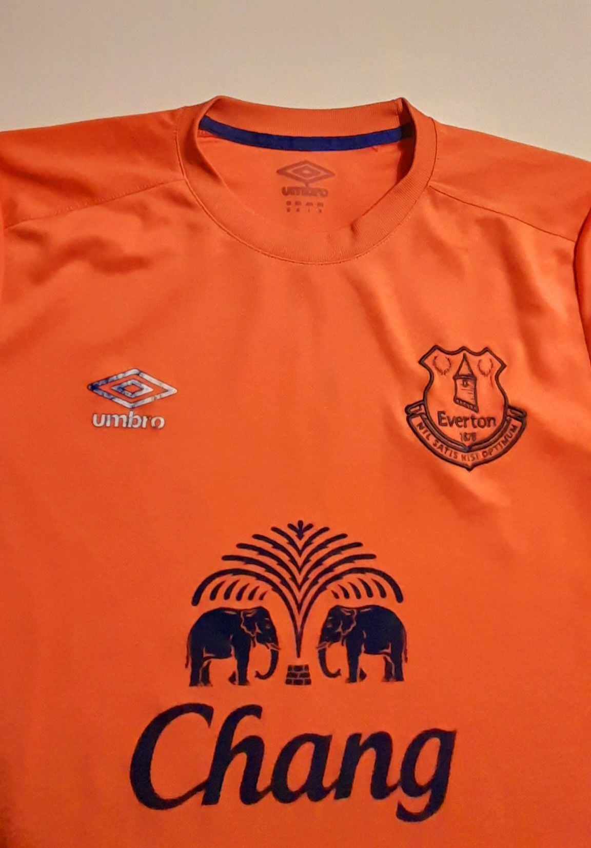 Umbro × Vintage Everton FC umbro training shirt 2015-16 premiership England Size US M / EU 48-50 / 2 - 3 Thumbnail