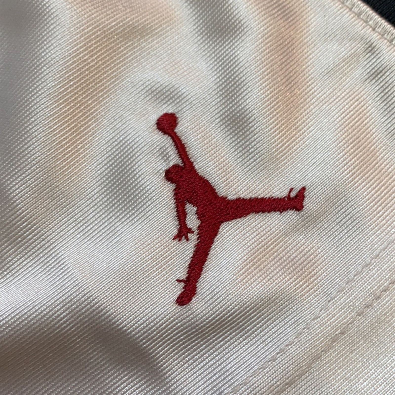 Jordan Brand Y2K Air Jordan Silky Dazzle Shorts Size US 32 / EU 48 - 4 Thumbnail