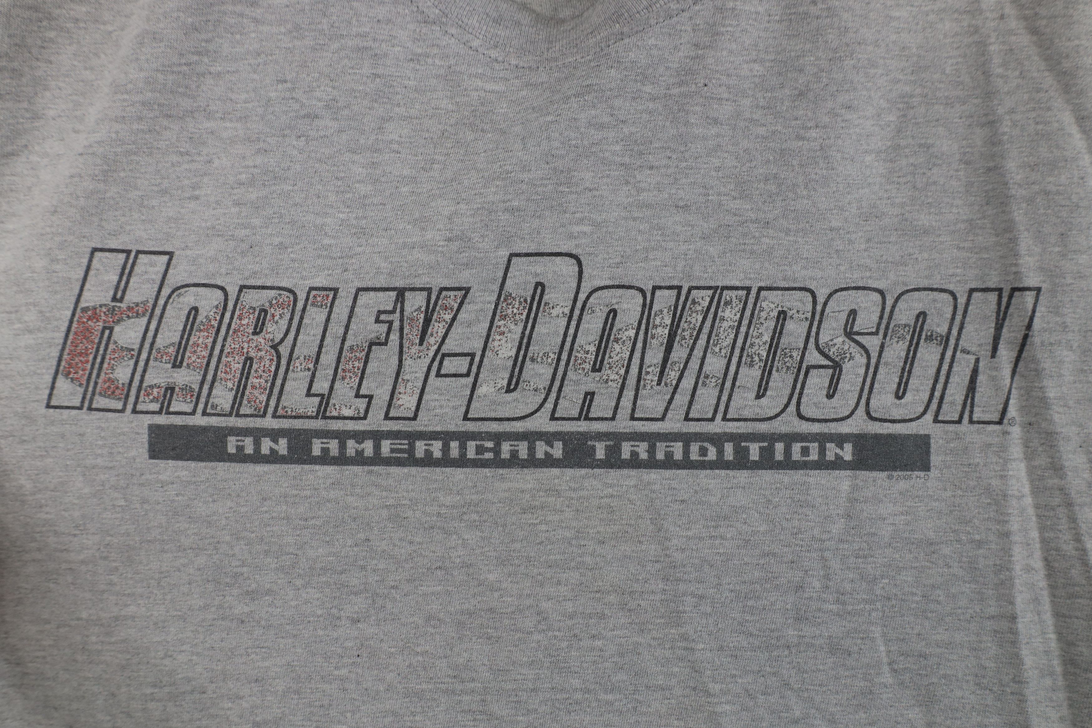 Harley Davidson Vintage Y2K 2005 Harley Davidson Fire Flames T-Shirt Gray Size US L / EU 52-54 / 3 - 7 Thumbnail