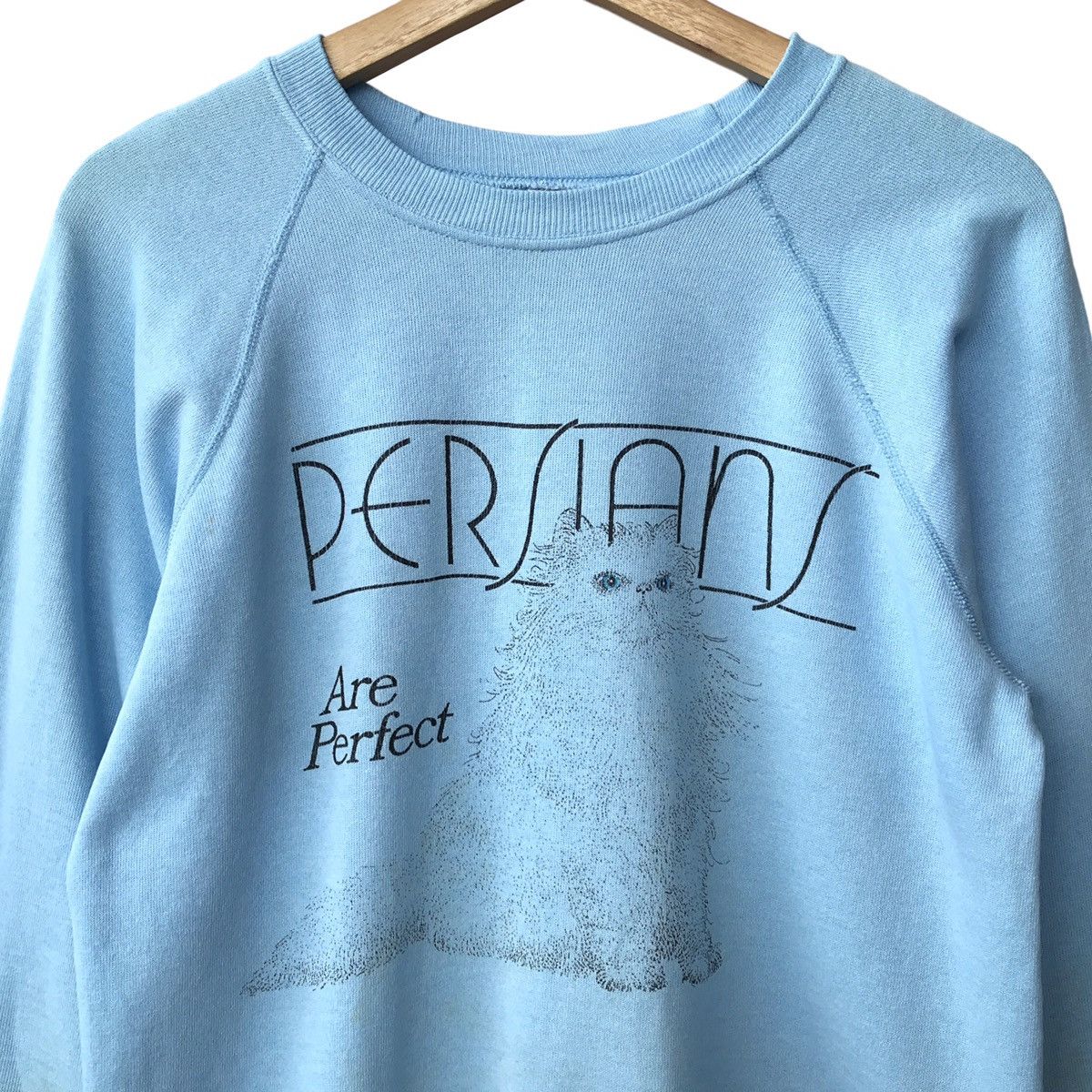 Hanes × Vintage Hanes USA Vintage 1980s Persian Cats Faded Sweatshirt Size US M / EU 48-50 / 2 - 3 Thumbnail