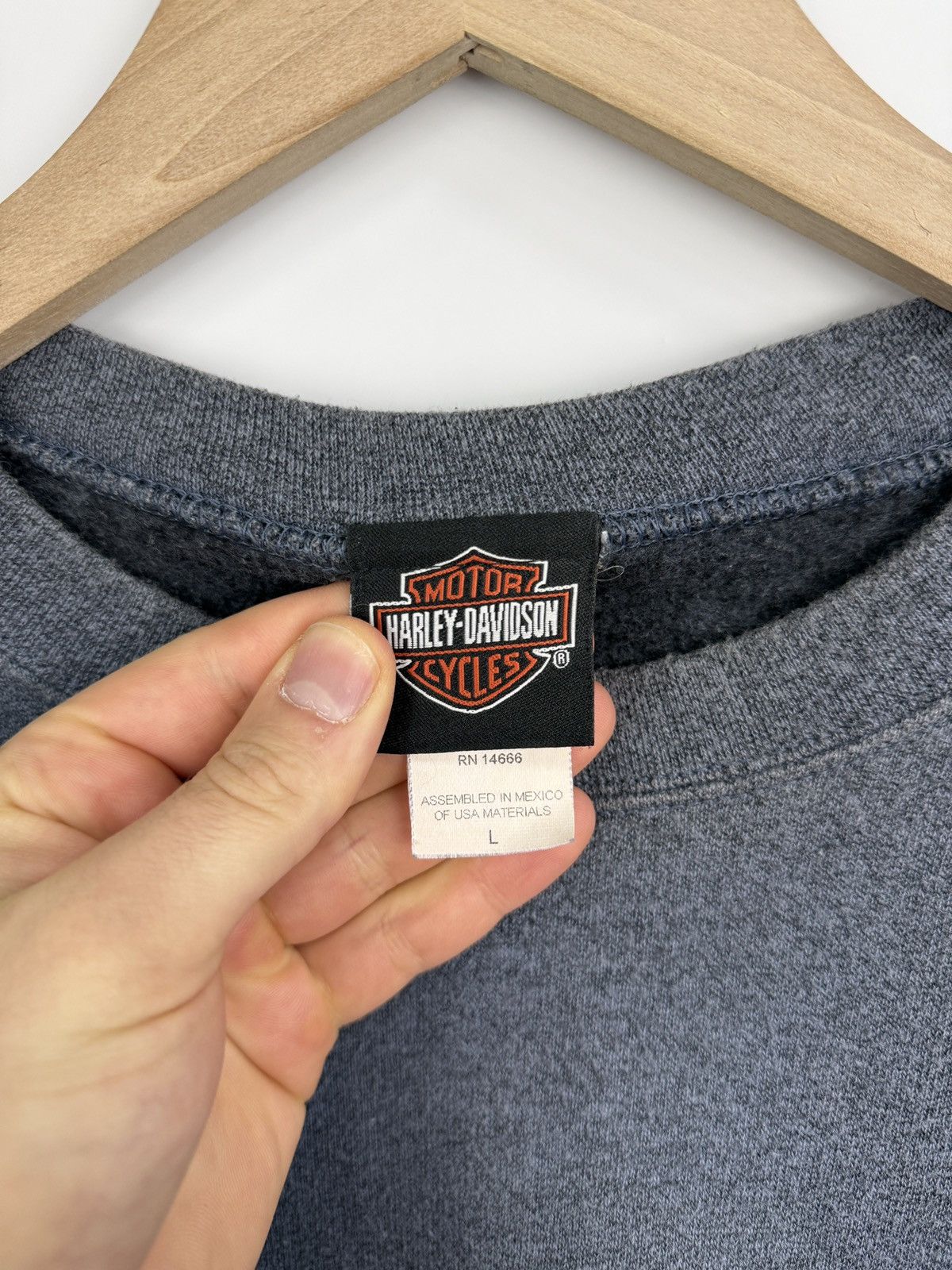 Harley Davidson 🇺🇸Vintage Y2K Harley Davidson Grand Canyon Arizona Sweatshirt Size US L / EU 52-54 / 3 - 11 Thumbnail