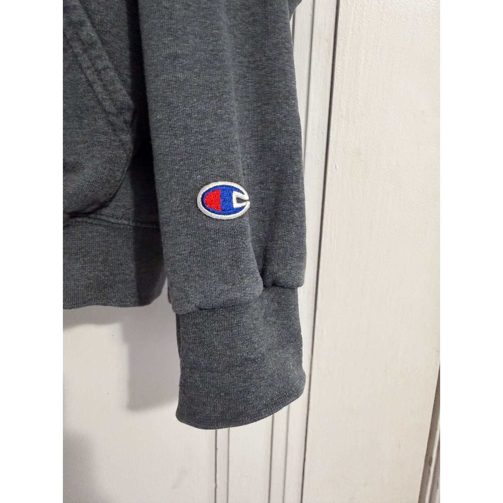 Champion University of Sioux Falls Cougars Hoodie Sweatshirt Size M Size US M / EU 48-50 / 2 - 3 Thumbnail