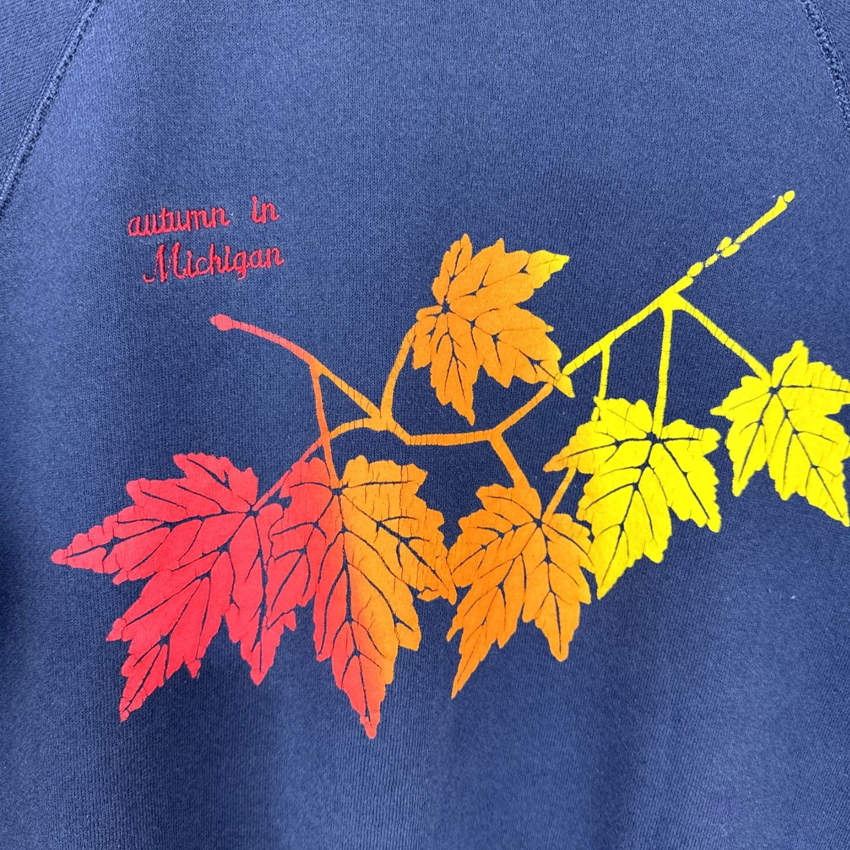 Lee VINTAGE Lee Sweatshirt Men's XL Blue 90s Fall Leaves Graphic Print Fleece Pullover Size US XL / EU 56 / 4 - 7 Thumbnail