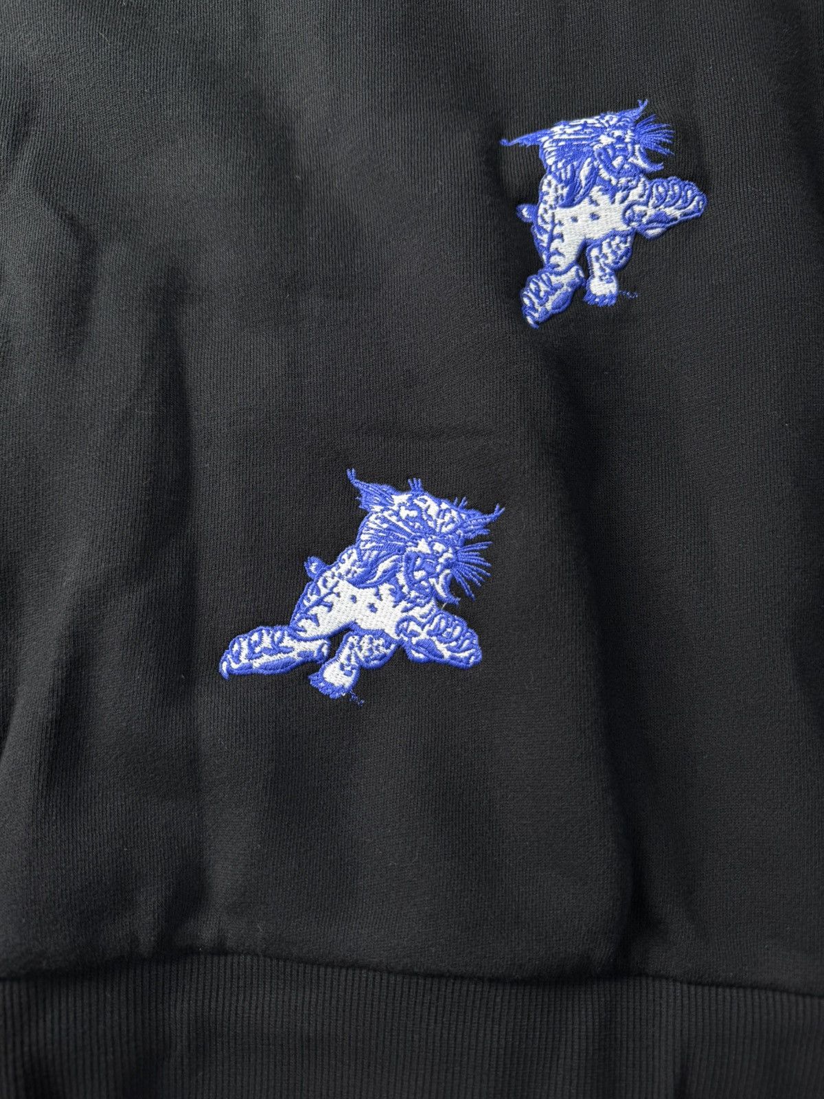 Travis Scott Kentucky wildcats hoodie Size US L / EU 52-54 / 3 - 5 Thumbnail