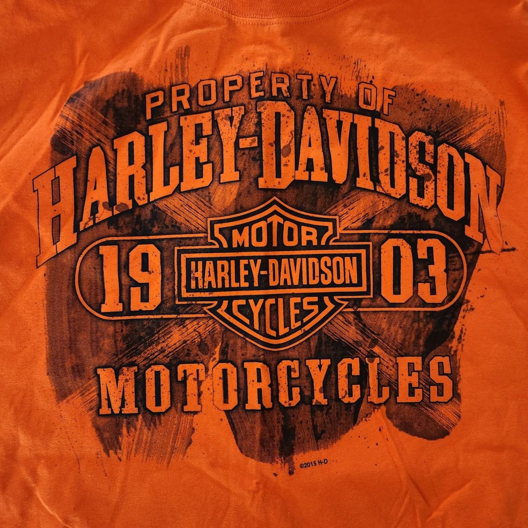 Harley Davidson Harley-Davidson T Shirt Tee Mens Large Orange Akron Ohio Biker Graphic Print Logo Short Sleeve Crew Neck Cotton Polyester 2010-2019 Vintage No Mens Size US L / EU 52-54 / 3 - 4 Thumbnail