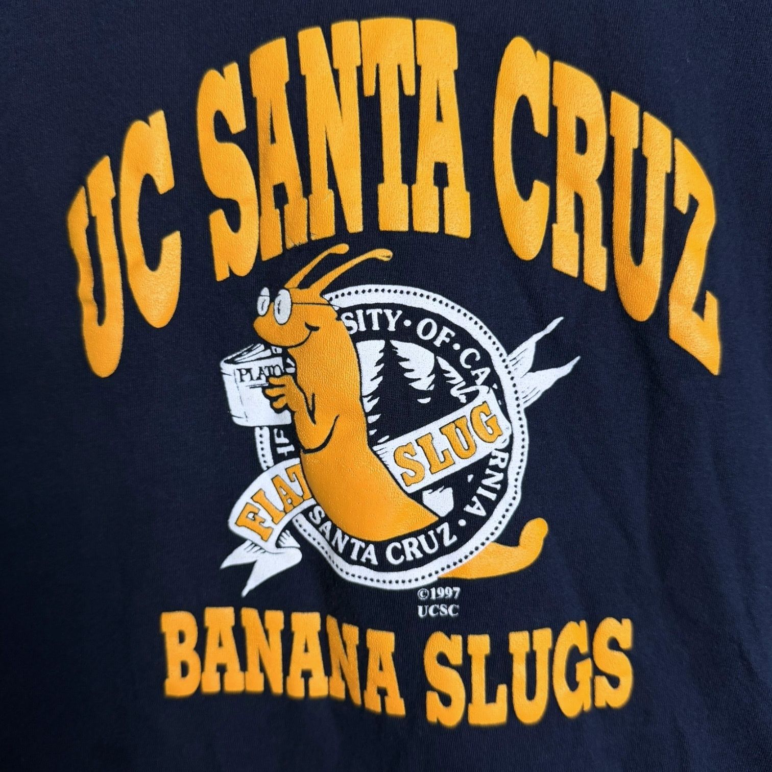 Vintage 90s UC Santa Cruz Slugs Blue & Yellow T Pulp Fiction