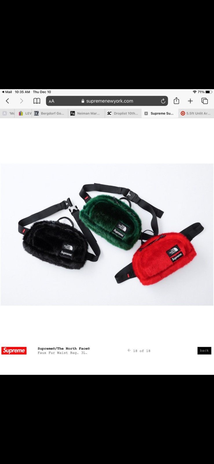 Supreme × The North Face SUPREME X THE NORTH FACE BELT BAG NWT Size ONE SIZE - 15 Thumbnail