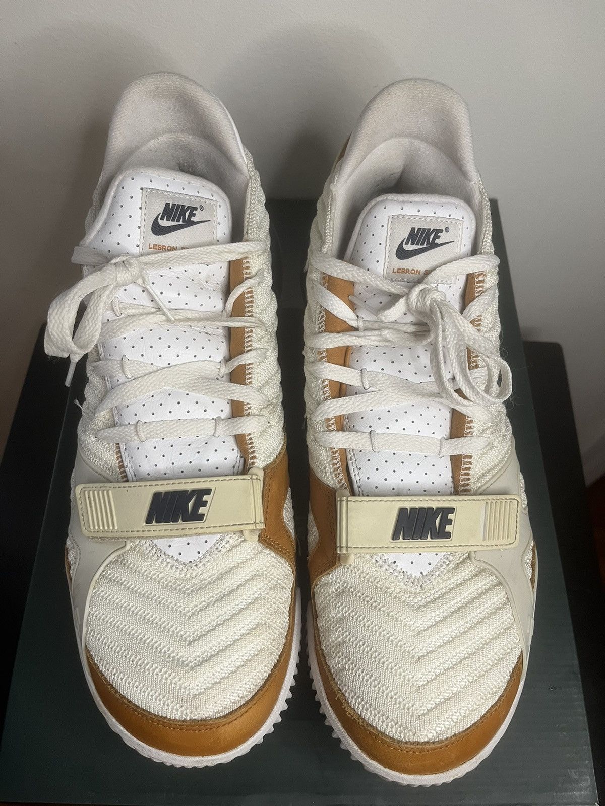 Lebron 16 'Air Trainer Medicine Ball'