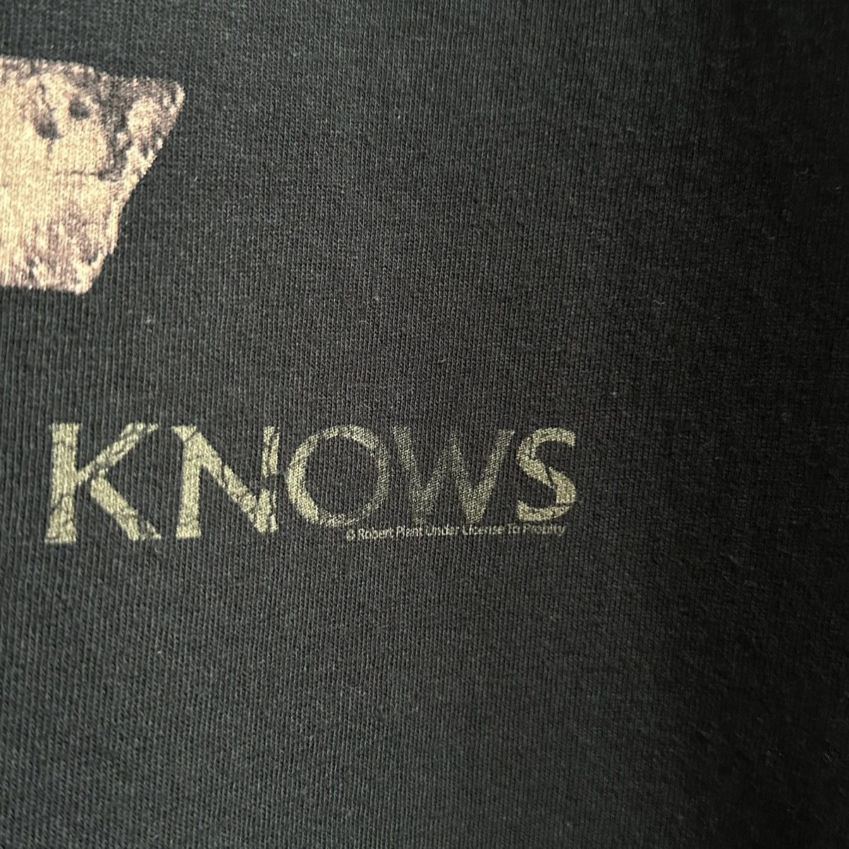 Band Tees × Led Zeppelin × Vintage VINTAGE Y2K ROBERT PLANT HEAVEN KNOWS TEE Size US L / EU 52-54 / 3 - 5 Thumbnail