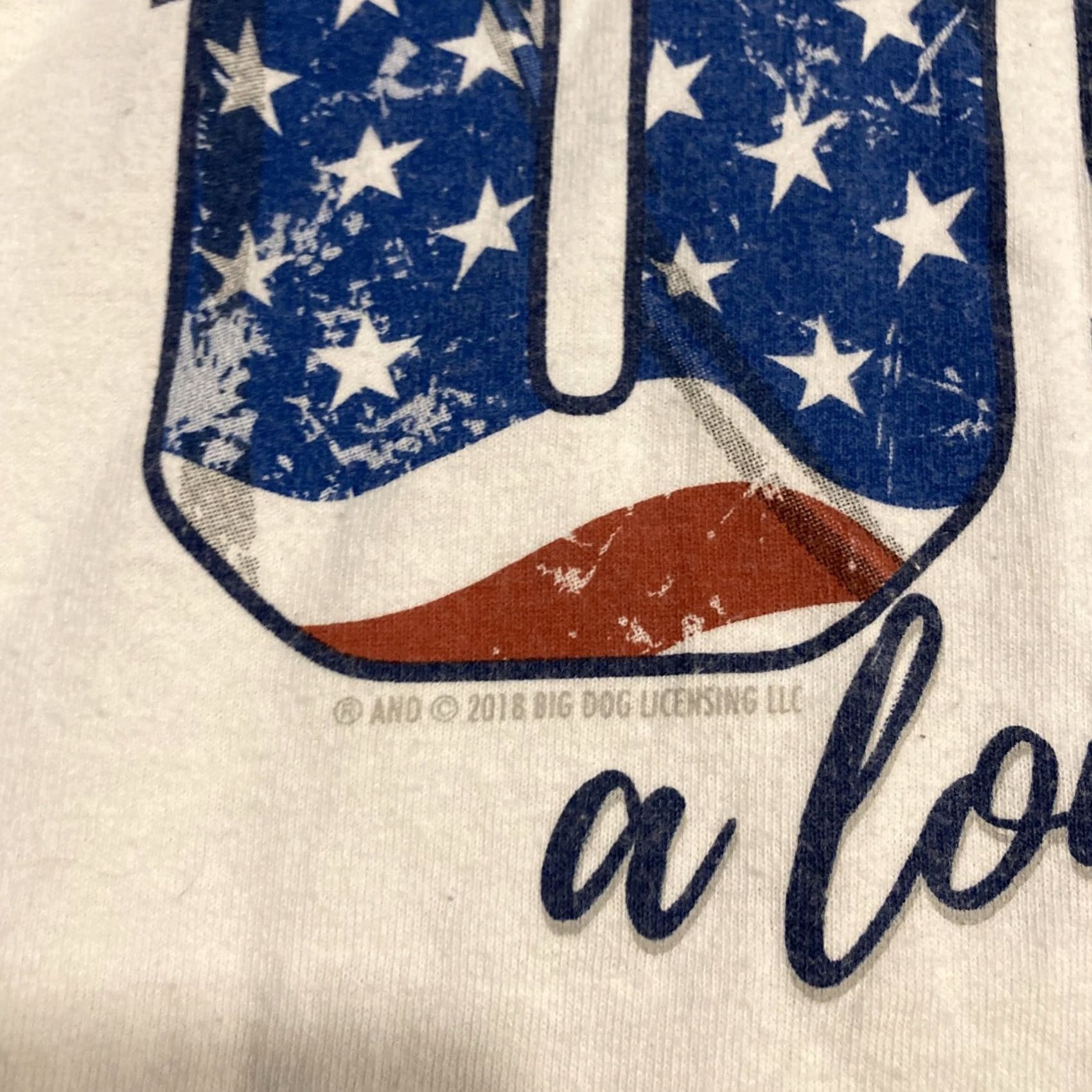 Big Dogs VINTAGE Big Dogs Born In The USA a Long Time Ago Long Sleeve T Shirt M Size US M / EU 48-50 / 2 - 4 Thumbnail