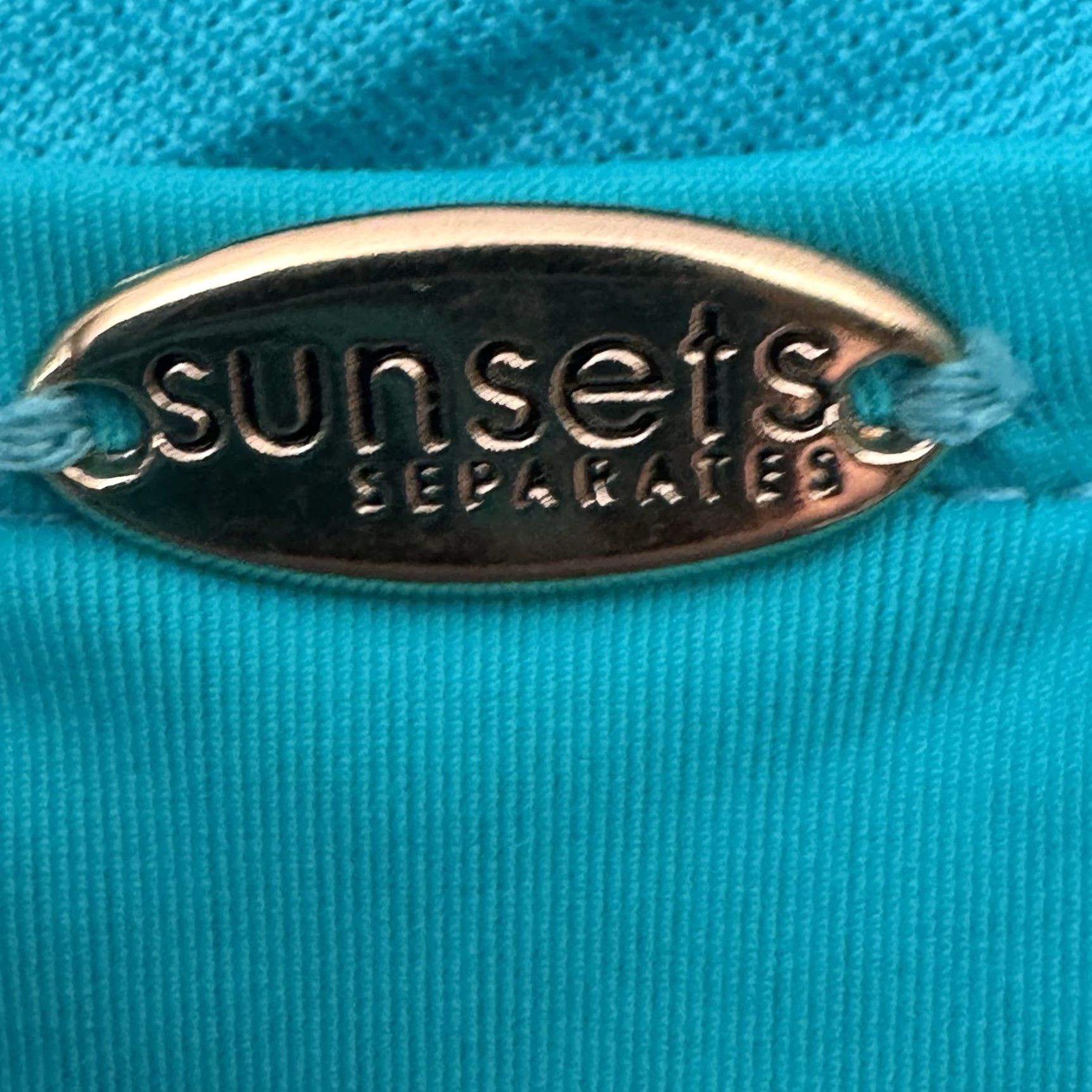 Vintage Sunsets Bikini Bottom Womens 16W Plus Swim High Waisted Retro 50s Resort Chic Blue 50s Beach Retro Tropical Full Coverage Womens Size 38" / US 16 / IT 52 - 7 Thumbnail