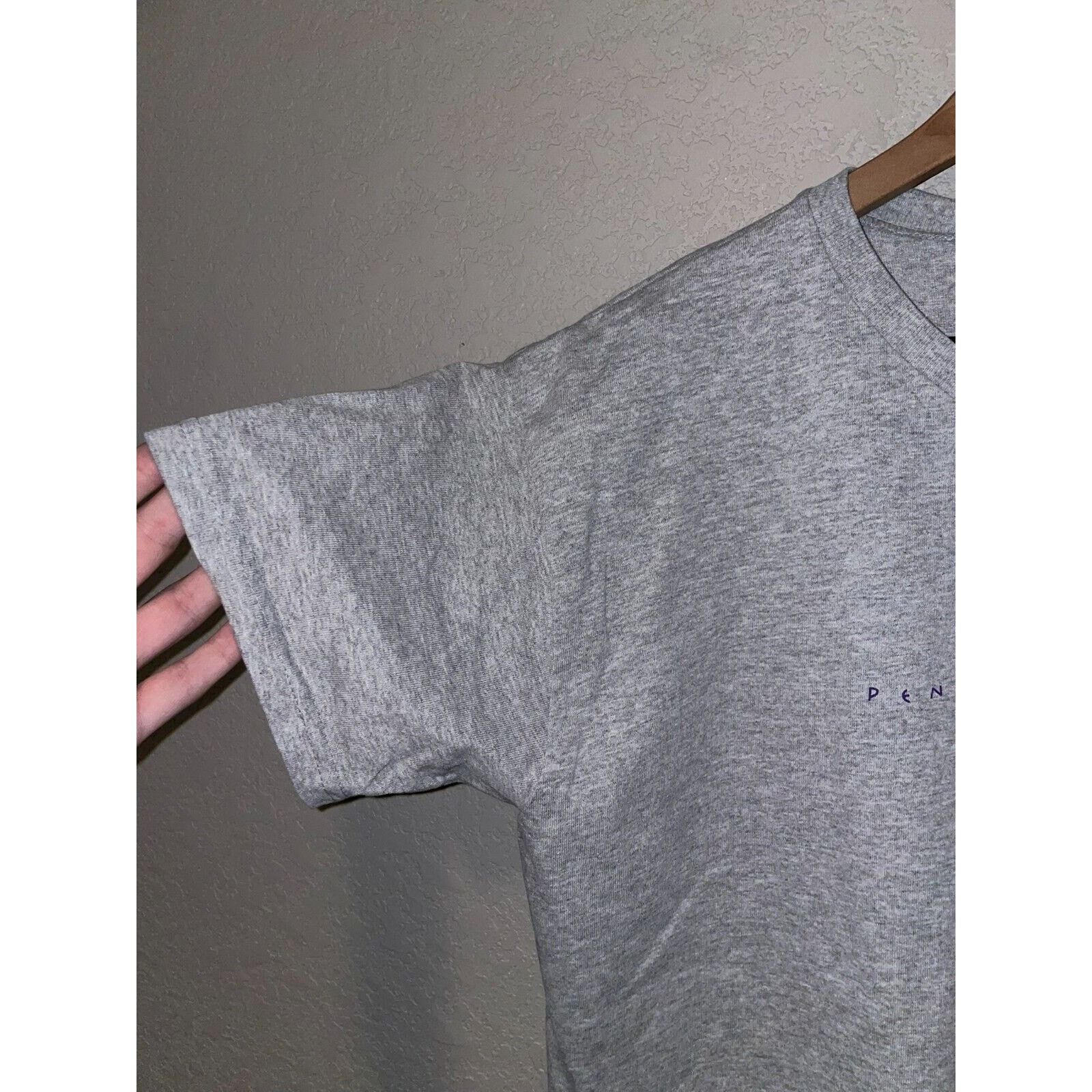 Anvil Womens Vintage Pennsylvania Shirt Gray Tee Top 90s Large Size L / US 10 / IT 46 - 4 Thumbnail