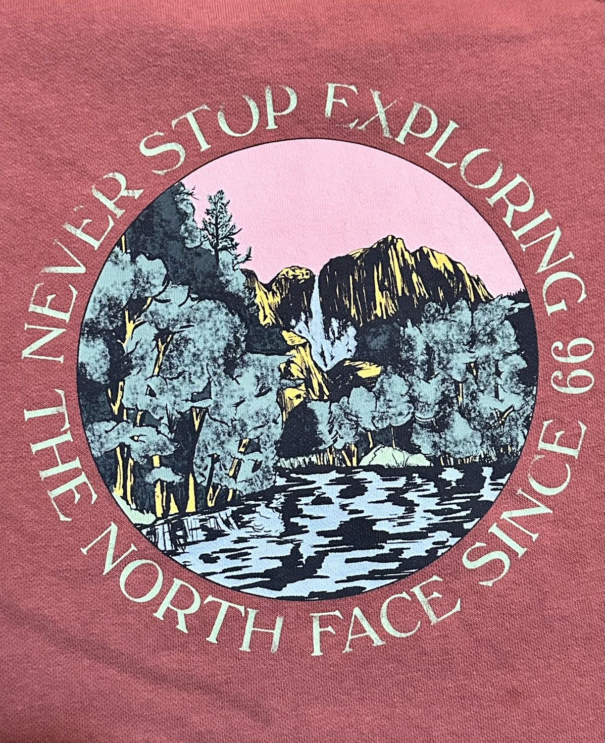 The North Face The North Face Womens Crewneck Sweater Size 3XL / US 20-22 - 6 Thumbnail