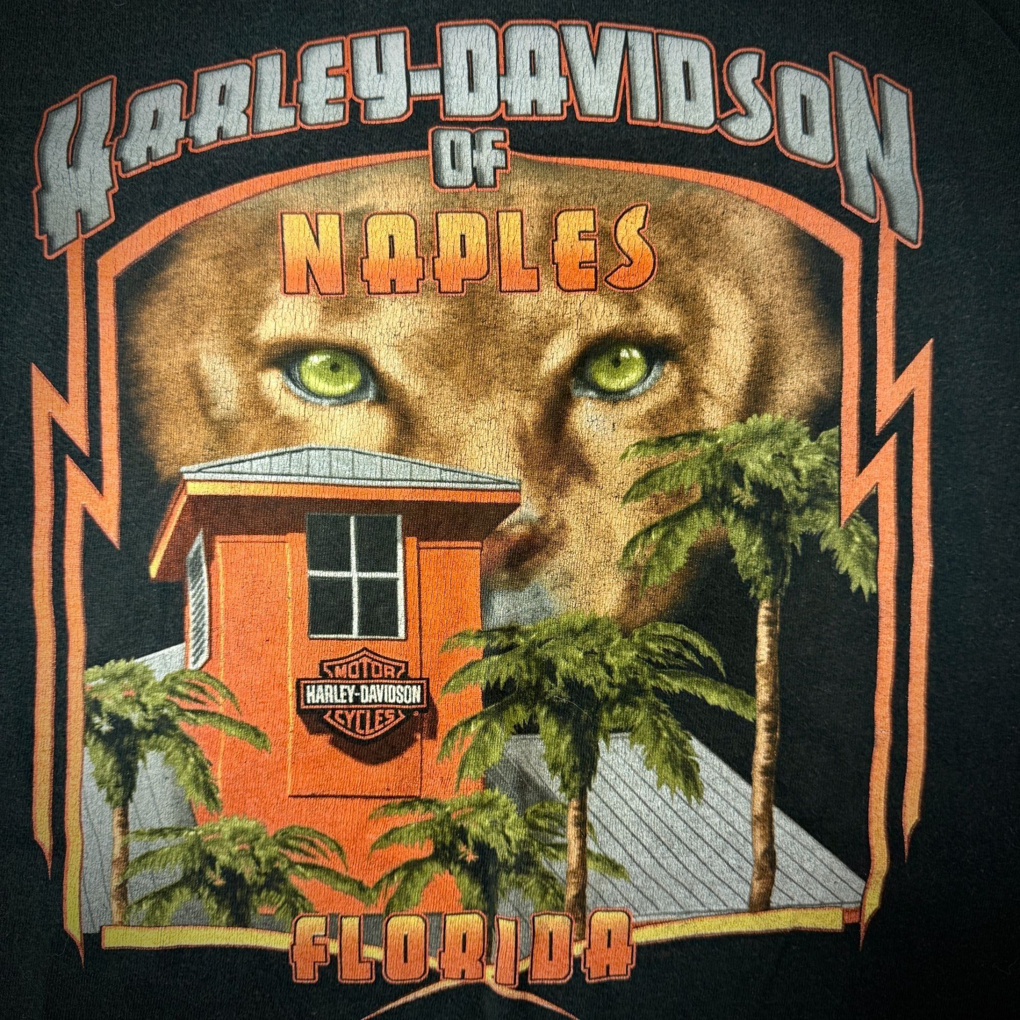 Harley Davidson Harley Davidson Motorcycle Naples Fl LURKING LION LS T Shirt Size US XXL / EU 58 / 5 - 2 Thumbnail