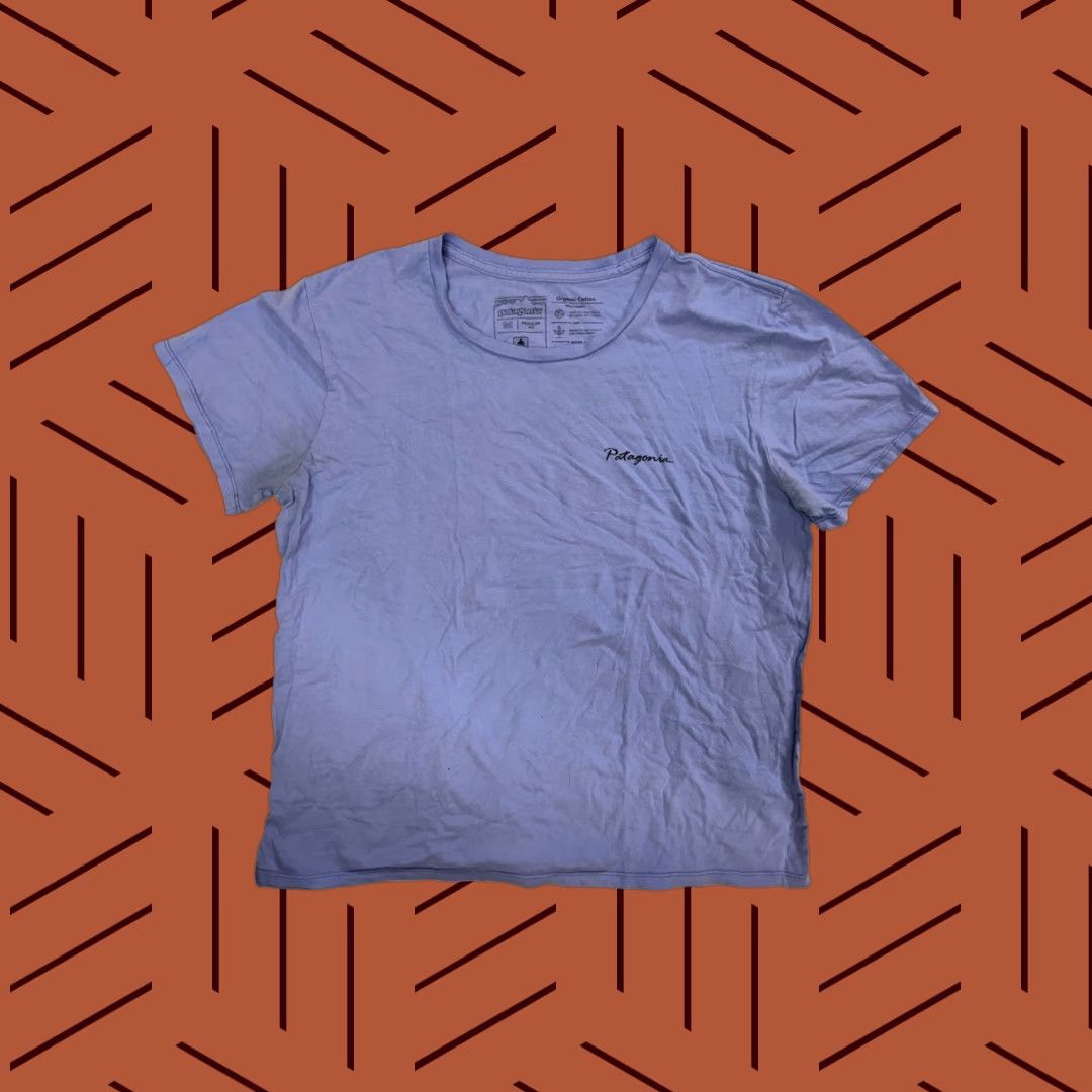 Patagonia Patagonia Women's T-Shirt Organic Cotton Crew Neck Short Sleeve Regular M Blue Graphic Print Mountain Logo 90s? Size M / US 6-8 / IT 42-44 - 1 Thumbnail
