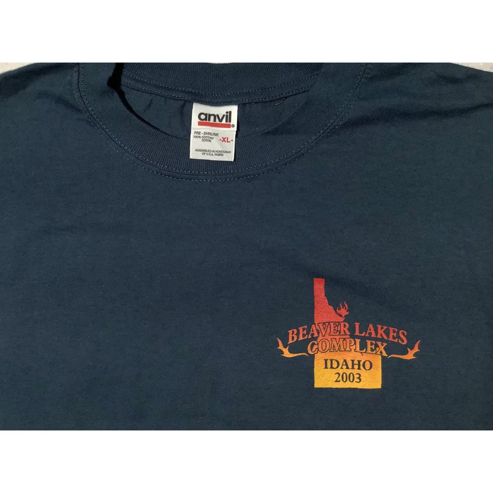 Anvil VINTAGE Beaver Lakes Complex Shirt Mens XL Idaho 2003 Wildfire Clearwater 00s Shirt Mens XL Blue Idaho 2003 Wildfire Clearwater 00s Size US XL / EU 56 / 4 - 2 Thumbnail
