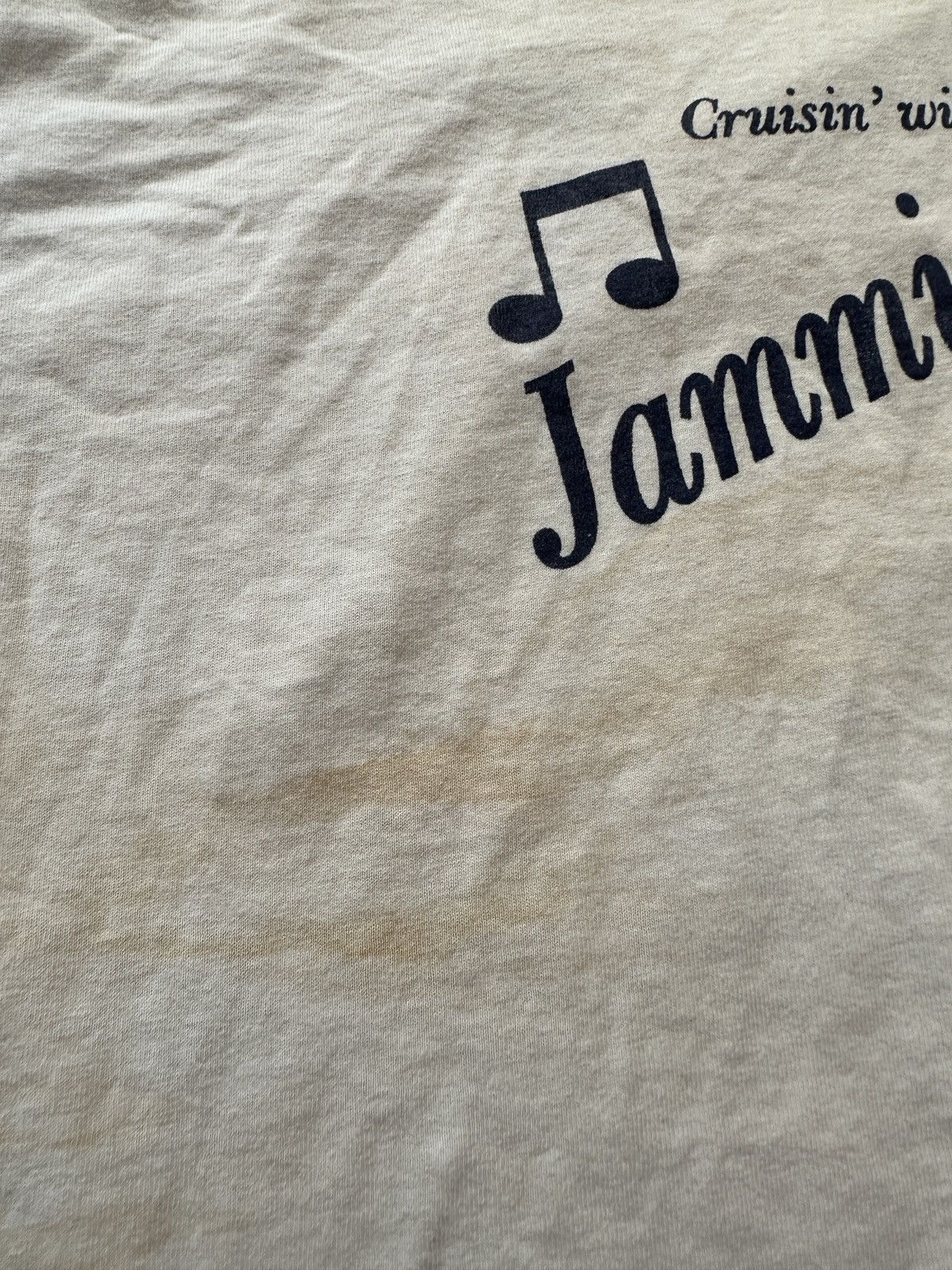 Band Tees Vintage Y2K Jamming Jerry Graphic Tee Size US XL / EU 56 / 4 - 4 Thumbnail