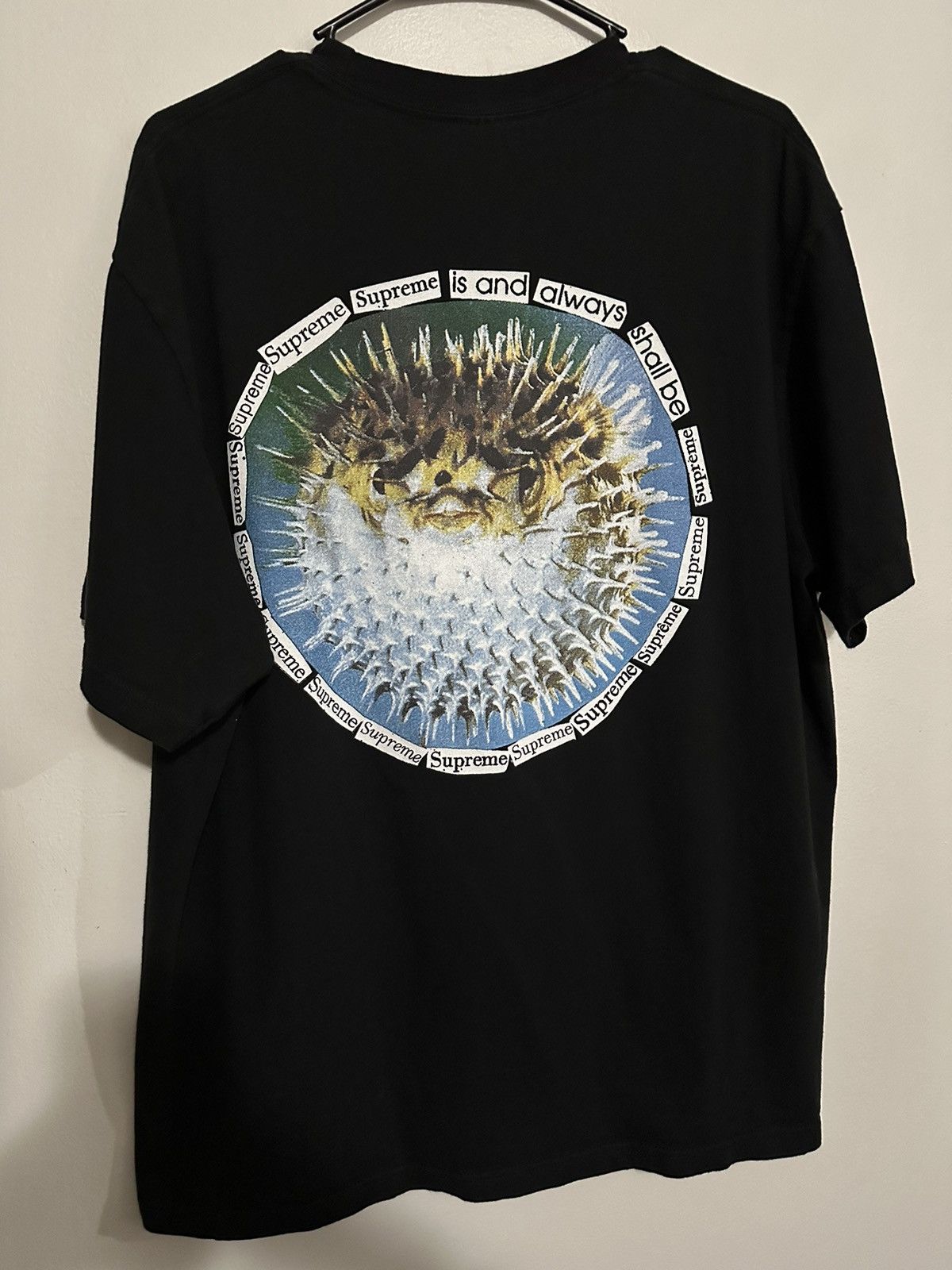 Supreme Supreme Blowfish Tee Size US XL / EU 56 / 4 - 1 Thumbnail