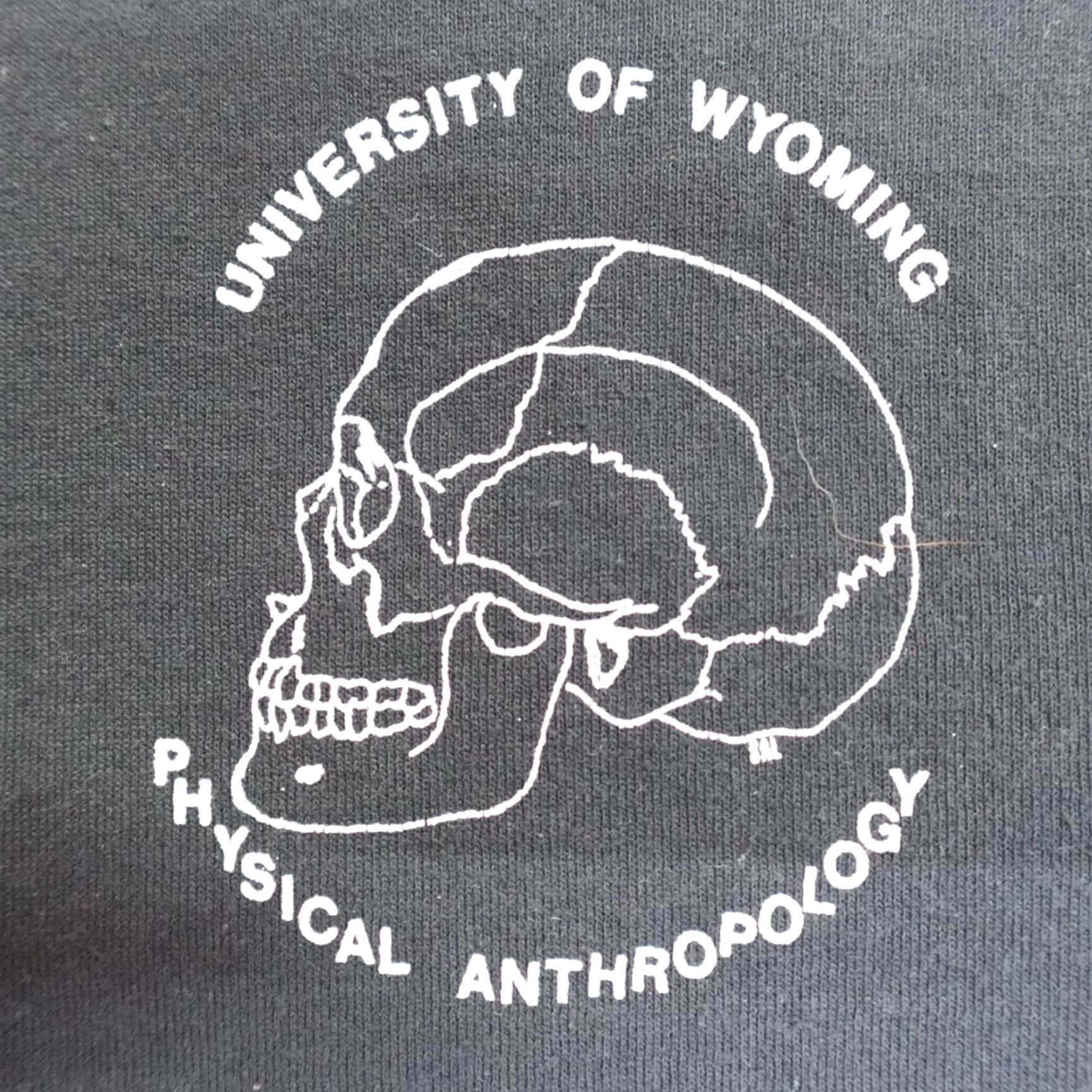 Vintage VINTAGE University of Wyoming Womens Shirt Small Black Physical Anthropology Size S / US 4 / IT 40 - 2 Thumbnail