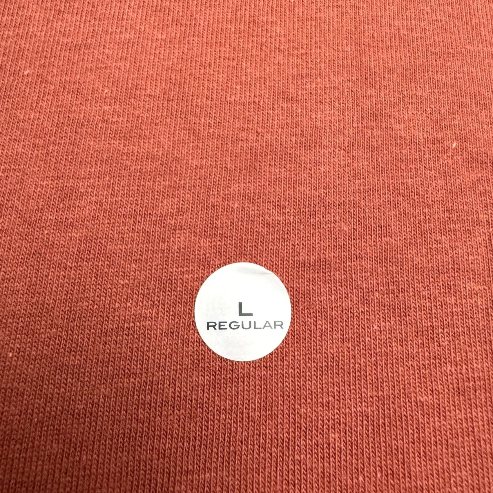 Eddie Bauer Eddie Bauer T-Shirt Mens Large Cotton Basic Crew Neck Red NWT Modern Classic Fit Short Sleeve Shirt Tee Regular Mens Red Cotton Basic Crew Tee NWT Size US L / EU 52-54 / 3 - 4 Thumbnail