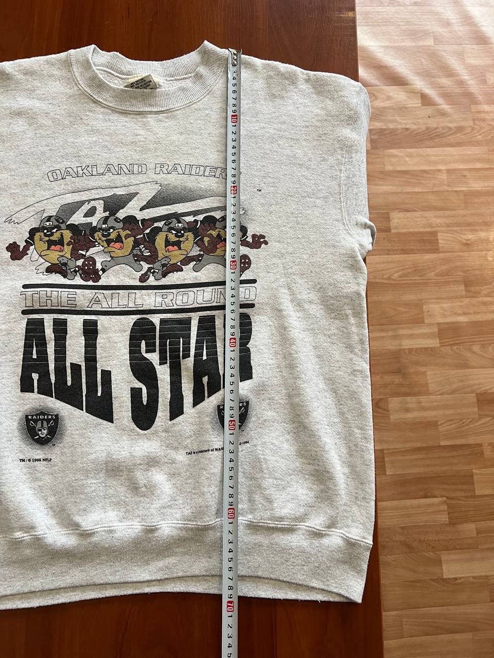 Nutmeg 1994/95 NFL LOS ANGELES RAIDERS LOONEY TUNES TAZ SWEATSHIRT Size US L / EU 52-54 / 3 - 13 Thumbnail