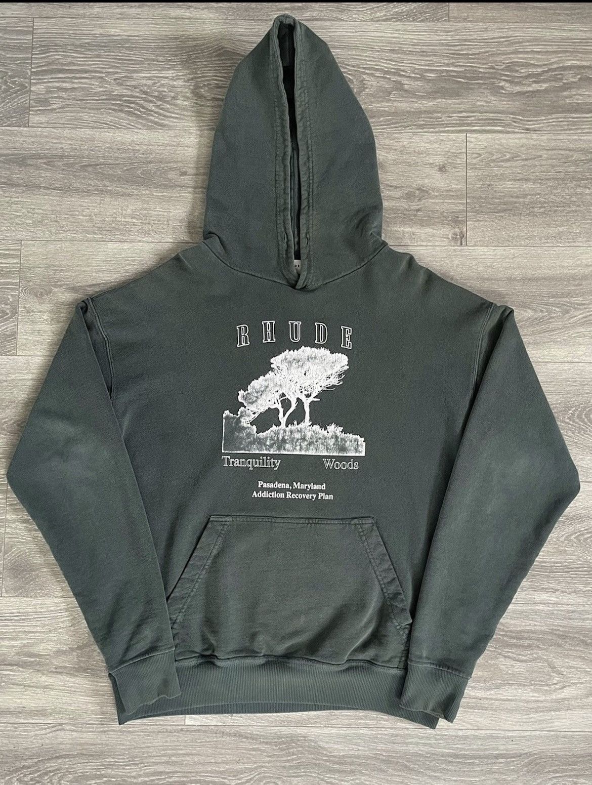 image of Rhude Tranquility Woods Addiction Recovery Plan Hoodie in Green, Men's (Size Medium)