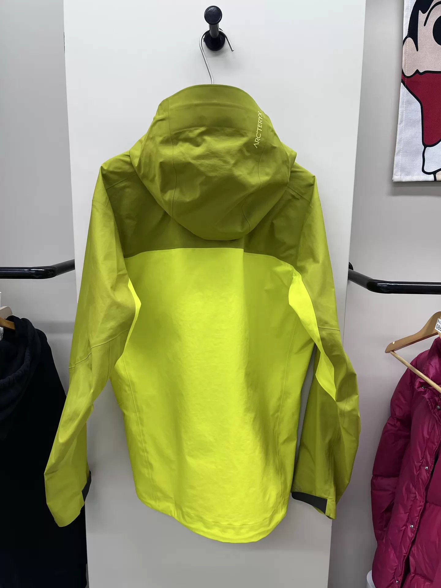 Arc'teryx Arcteryx Beta AR Jacket Euphoria Green L Size US L / EU 52-54 / 3 - 4 Thumbnail