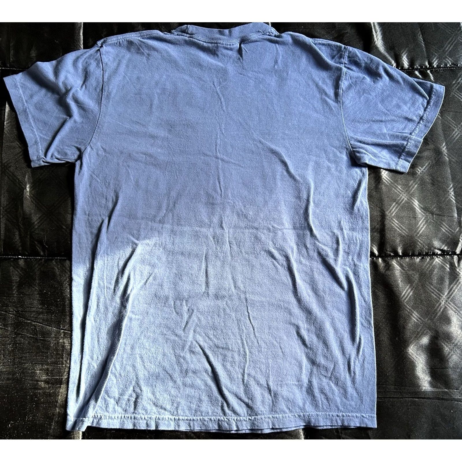Comfort Colors NWT Comfort Colors T-Shirt Raven Crow Under Umbrella Gothic Blue M Mens Size US M / EU 48-50 / 2 - 2 Thumbnail