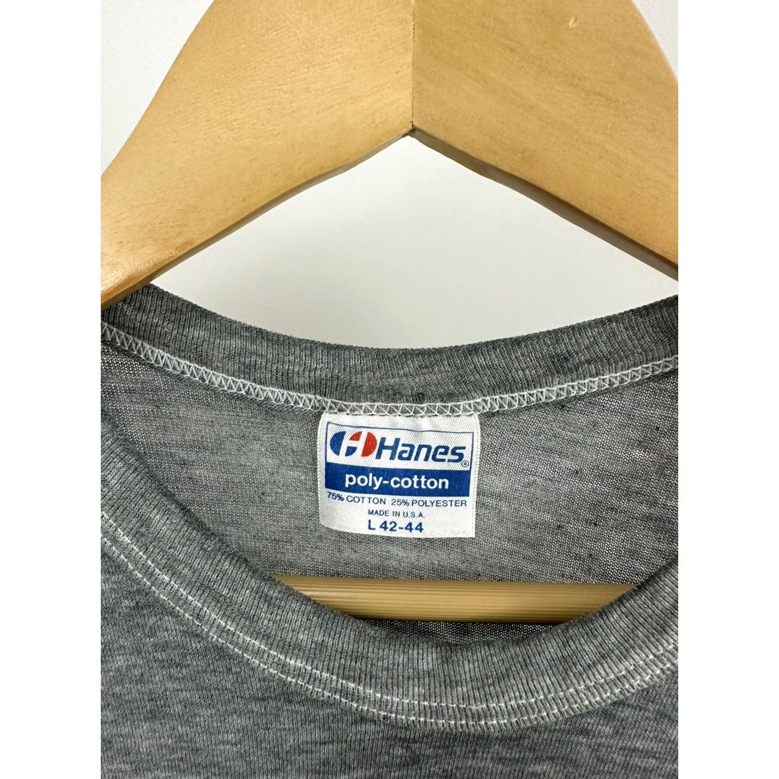 Hanes VINTAGE Hanes 80s T-Shirt L Gray USA Go HOG Wild In Vermont Pig Paper Thin Burnout Mens Size US L / EU 52-54 / 3 - 3 Thumbnail