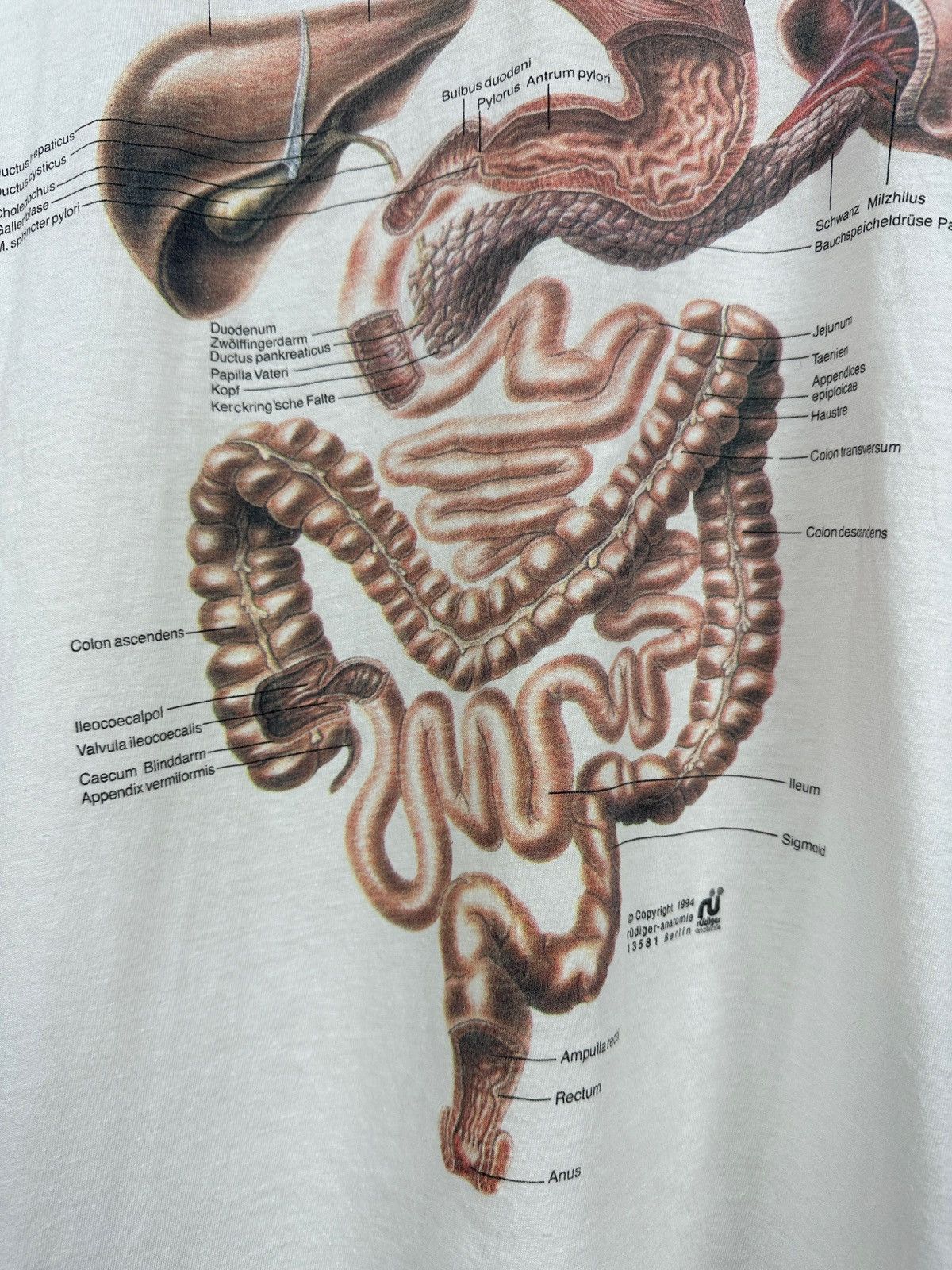 Vintage 1994 Vintage Input Output Anatomic Medical Digestive System Size US XL / EU 56 / 4 - 8 Thumbnail