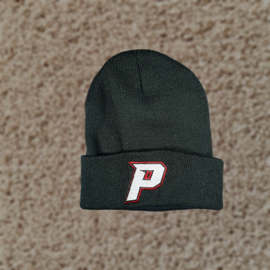 Port & Company P Logo Beanie Port & Company Knit Hat Adult One Size Green Embroidered Logo 100% Acrylic Mens Beanie Size ONE SIZE - 1 Thumbnail